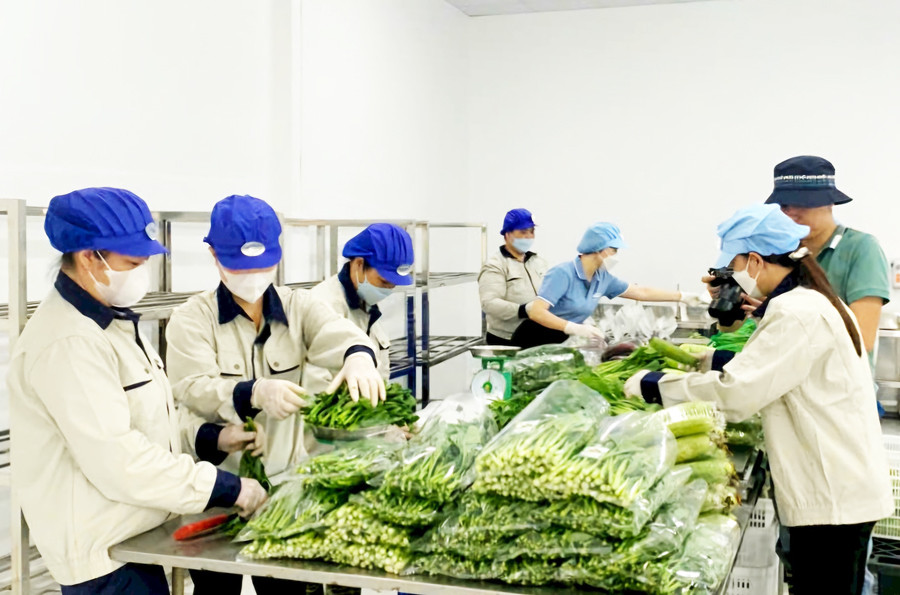 Khẩn trương hoàn thiện 8 dự án luật, nghị quyết để khơi thông nguồn lực phát triển