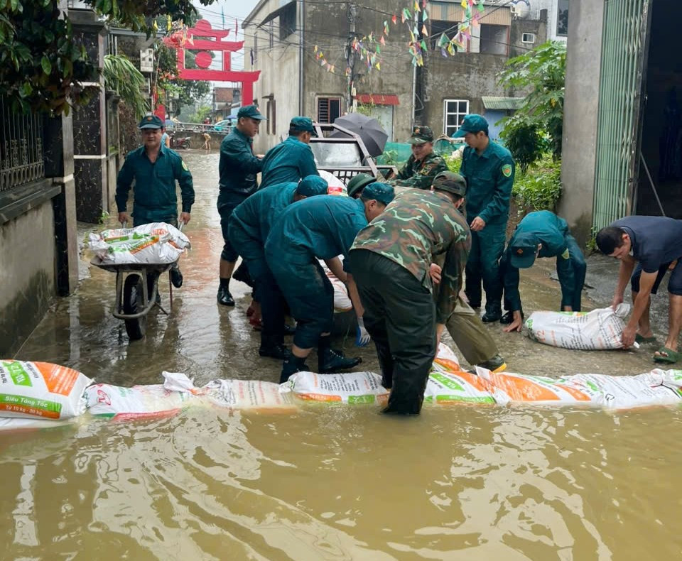 quang-bi0.jpg