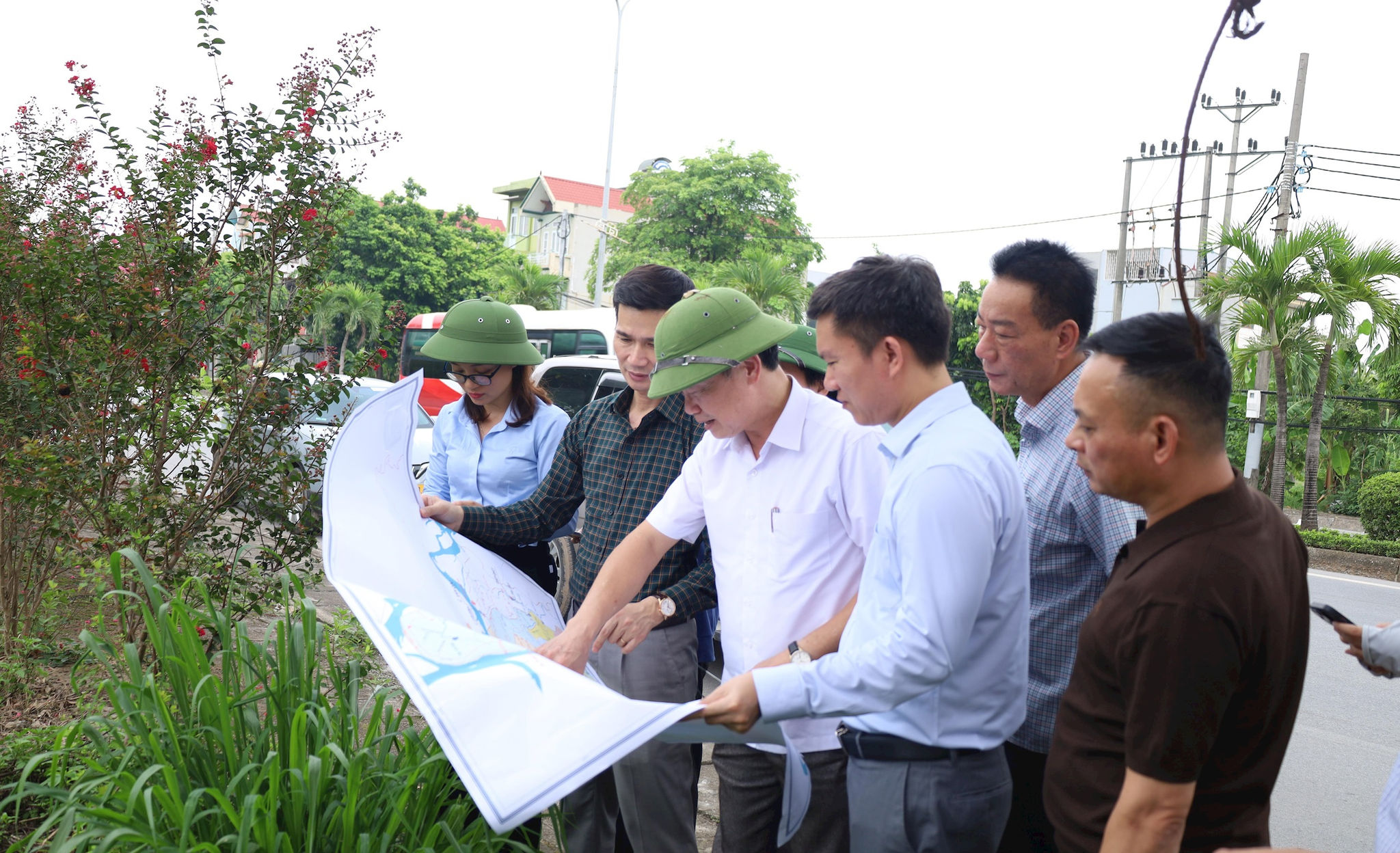 tim-huong-thoat-lu.jpg
