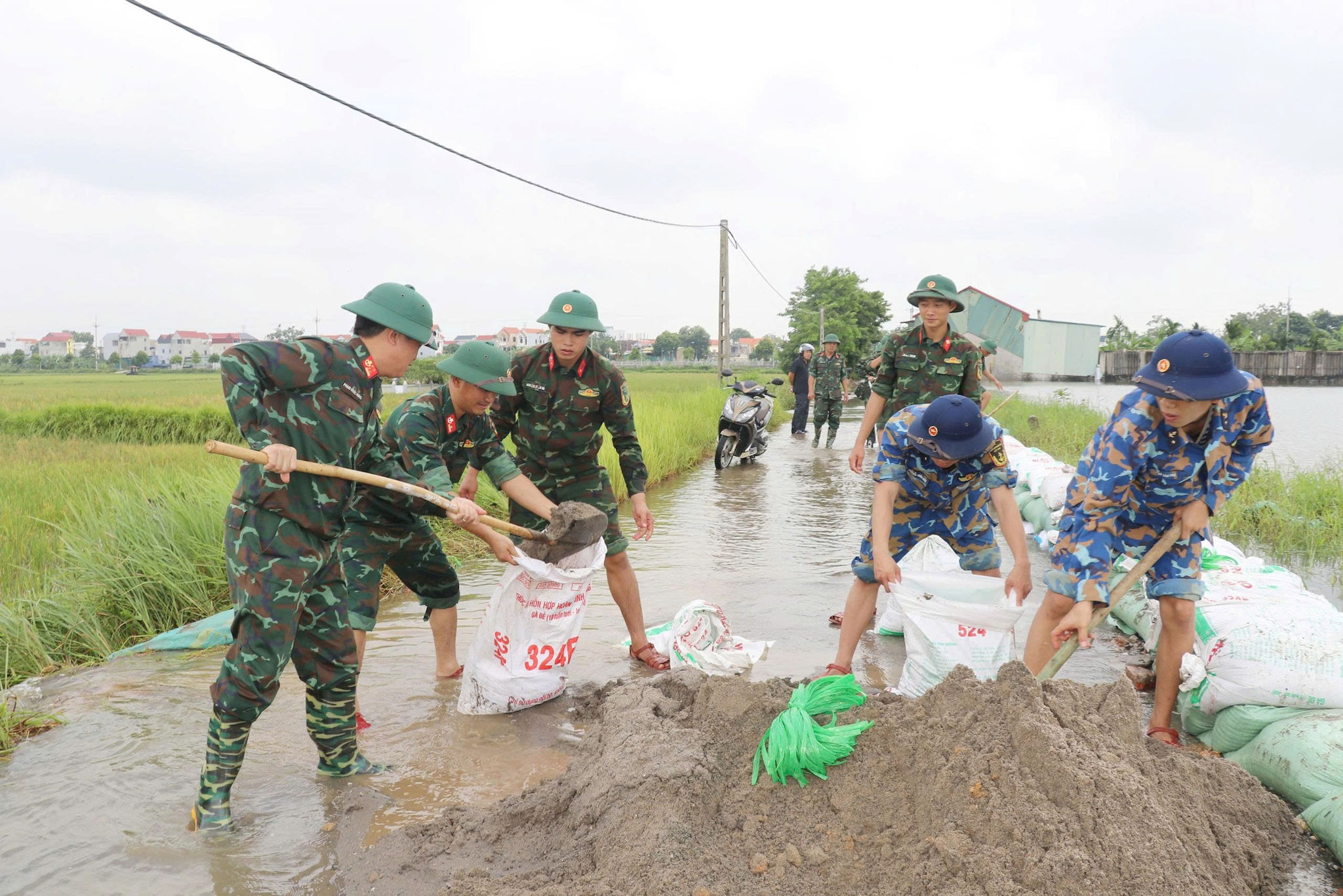 Xã Trần Phú tiếp tục huy động lực lượng chống tràn đê hữu Bùi bảo vệ sản xuất nông nghiệp, khu dân cư. Ảnh: Hồng Đào
