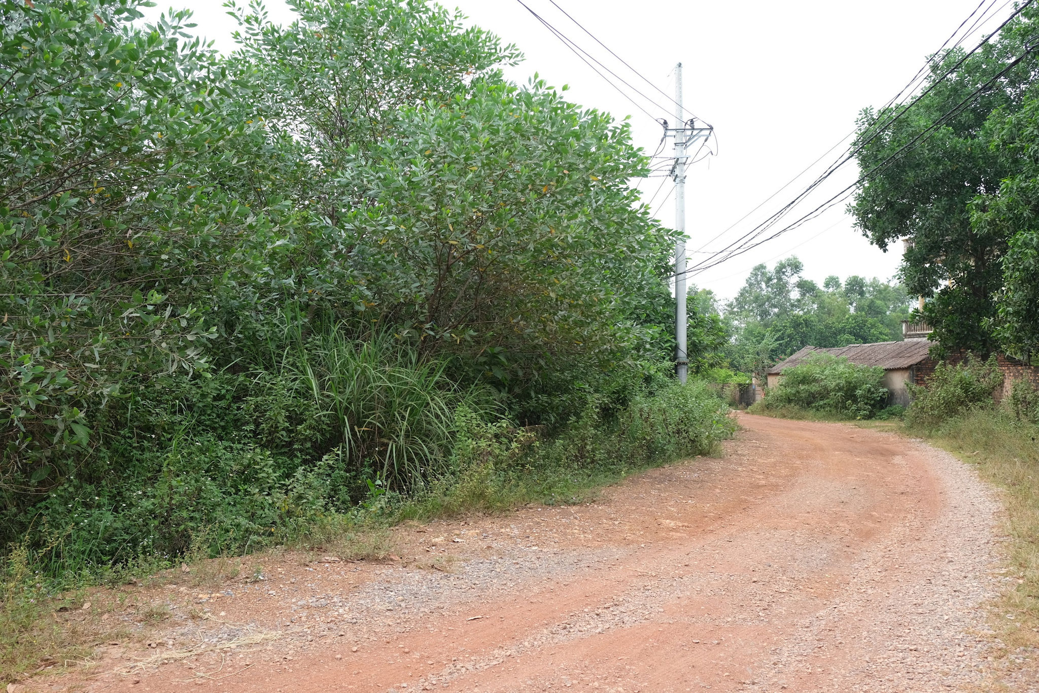 dscf4855.jpg