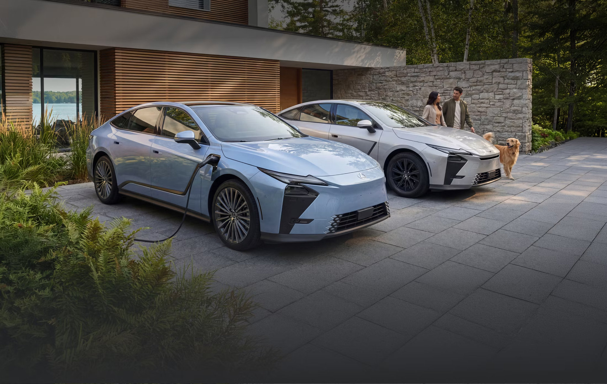 lexus_01.jpg