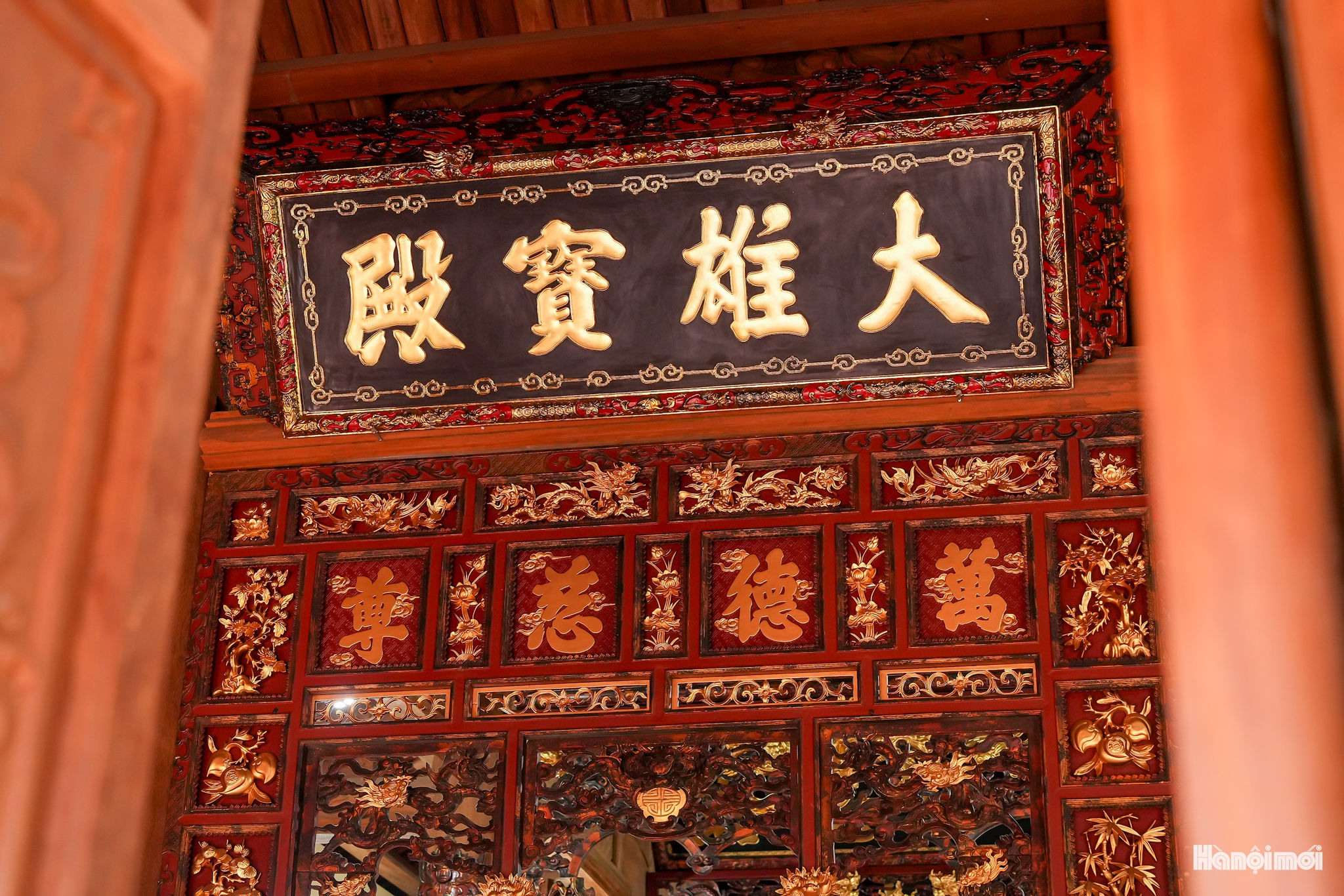 W_dk_06172.jpg