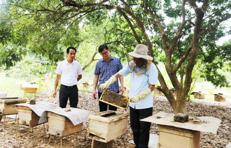 Nâng cao giá trị kinh tế của nông sản địa phương qua "chợ số"