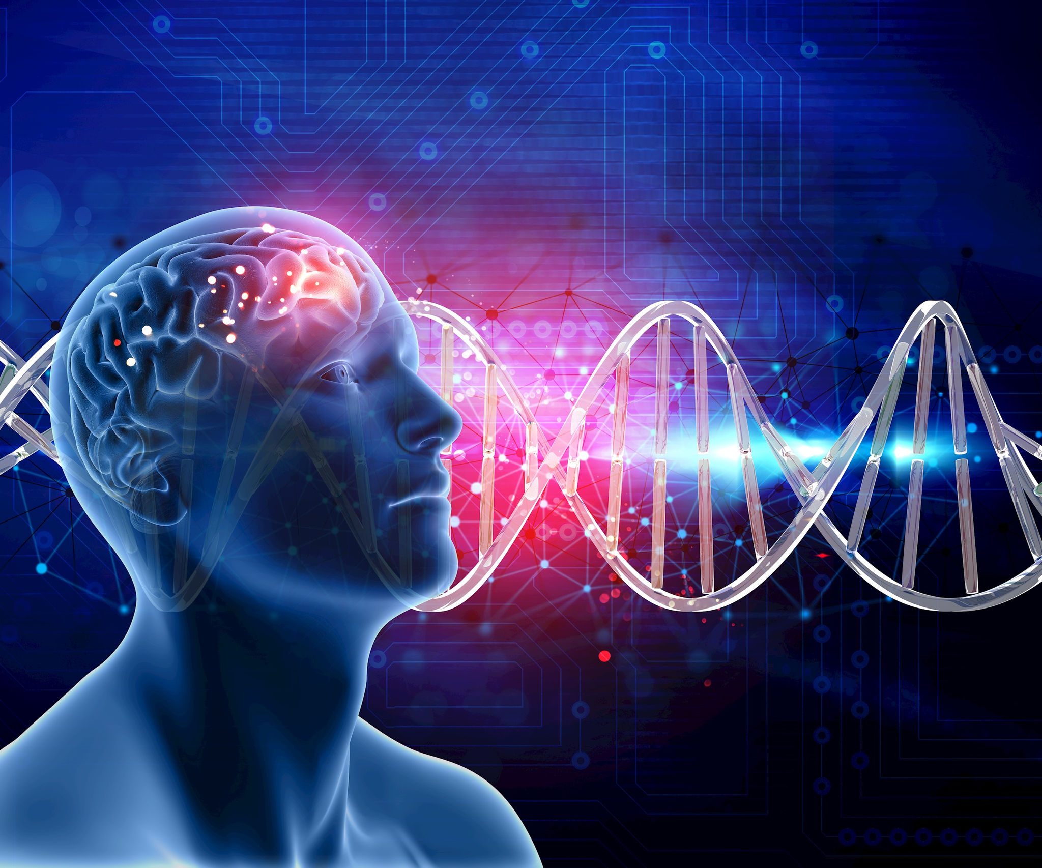 human-brain.jpg