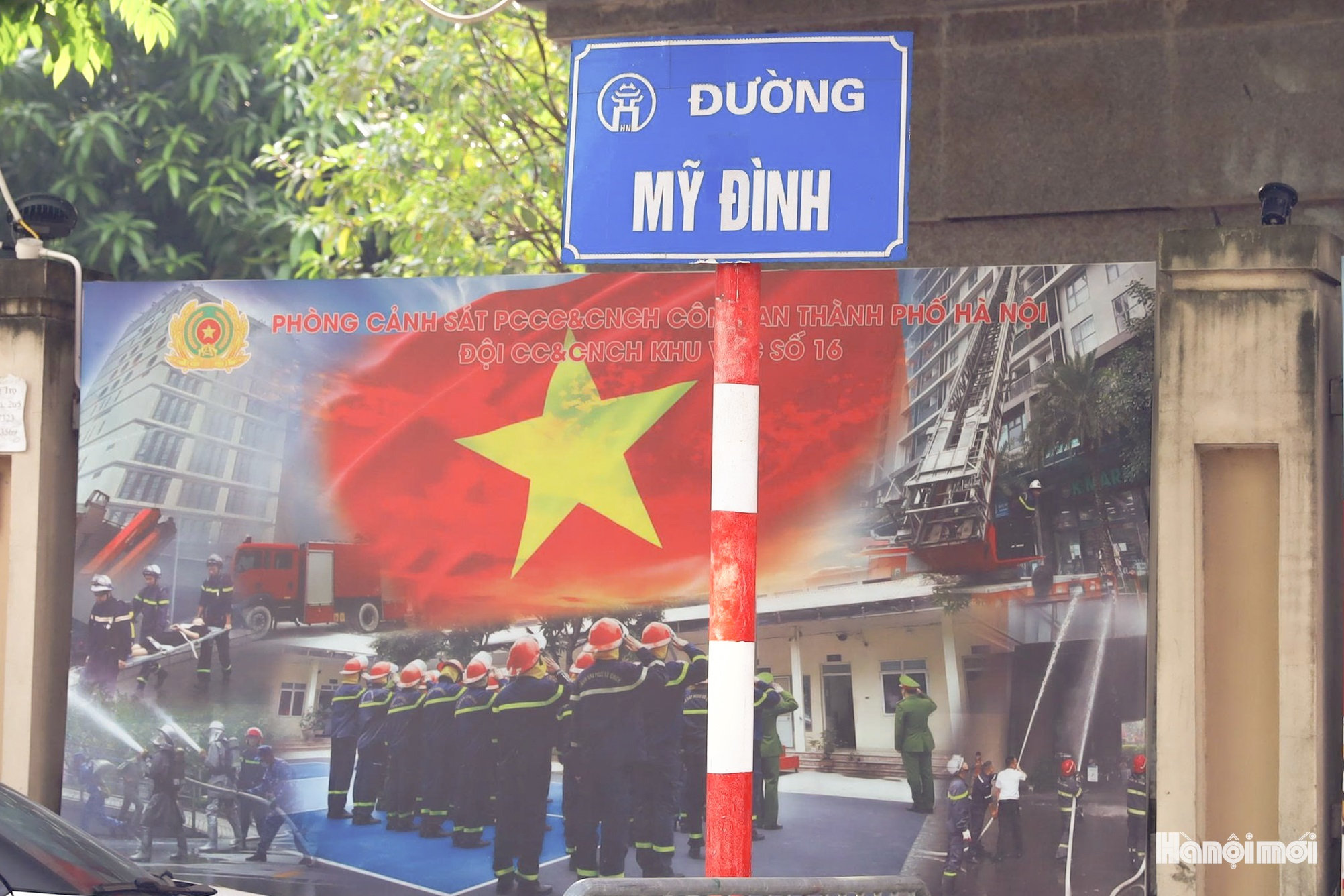 W_img_4911.jpg