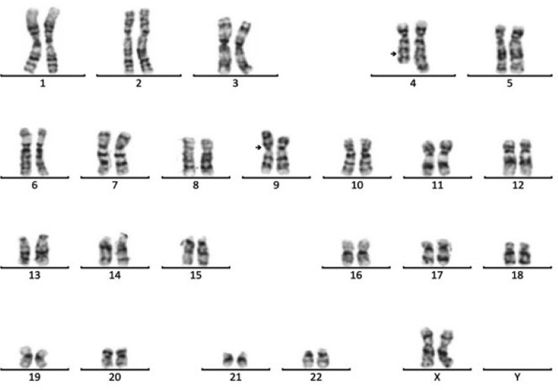 melatec-25.9-1-.jpg