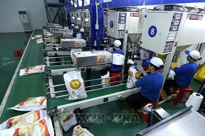 Quy định mới về kinh doanh xuất, nhập khẩu gạo từ ngày 1-10