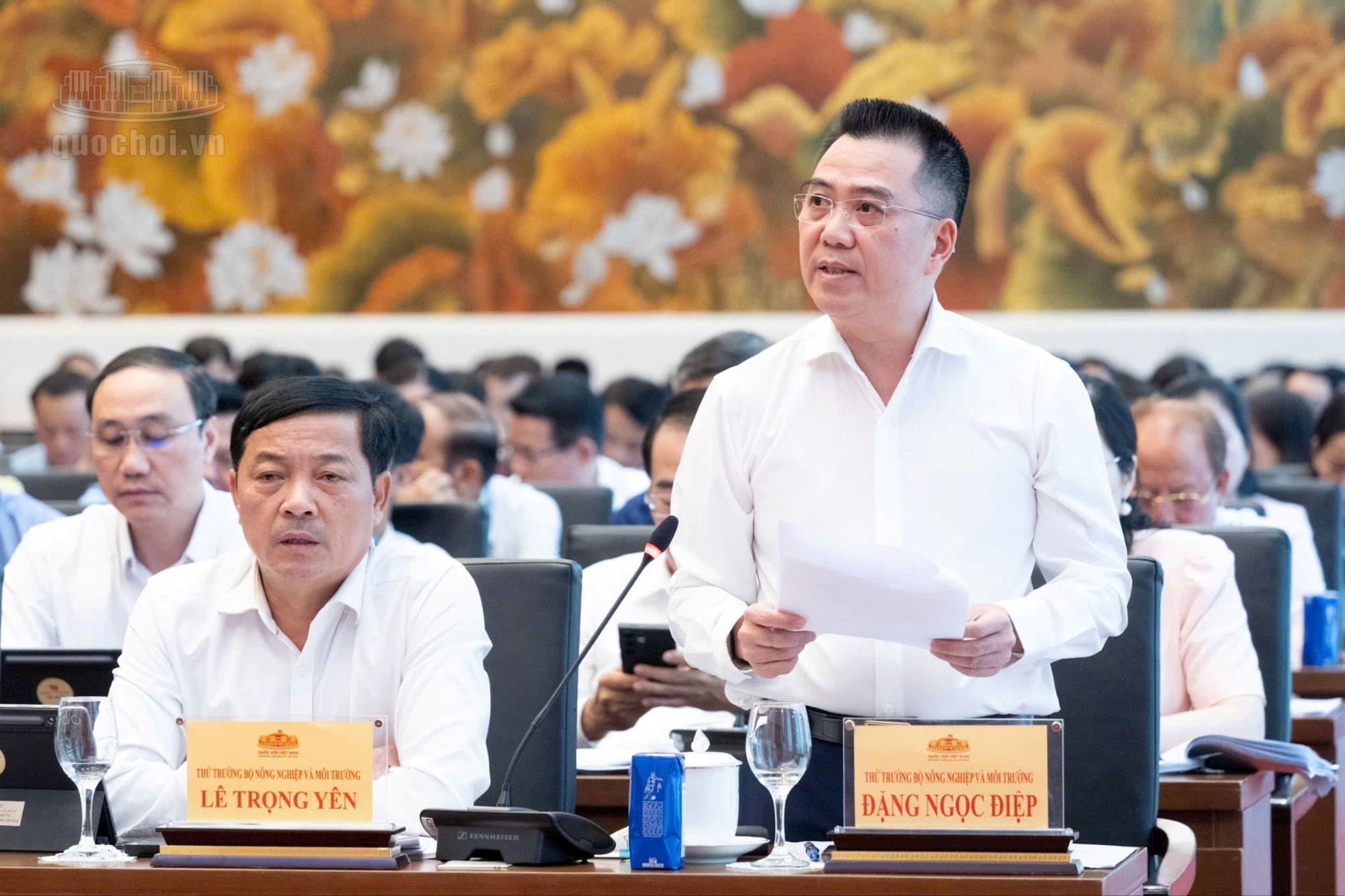 Hoàn thiện hành lang pháp lý cho phát triển điện, bưu chính và kinh tế biển