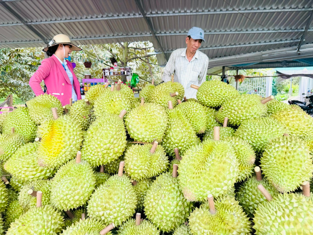 sau-rieng-2.jpg
