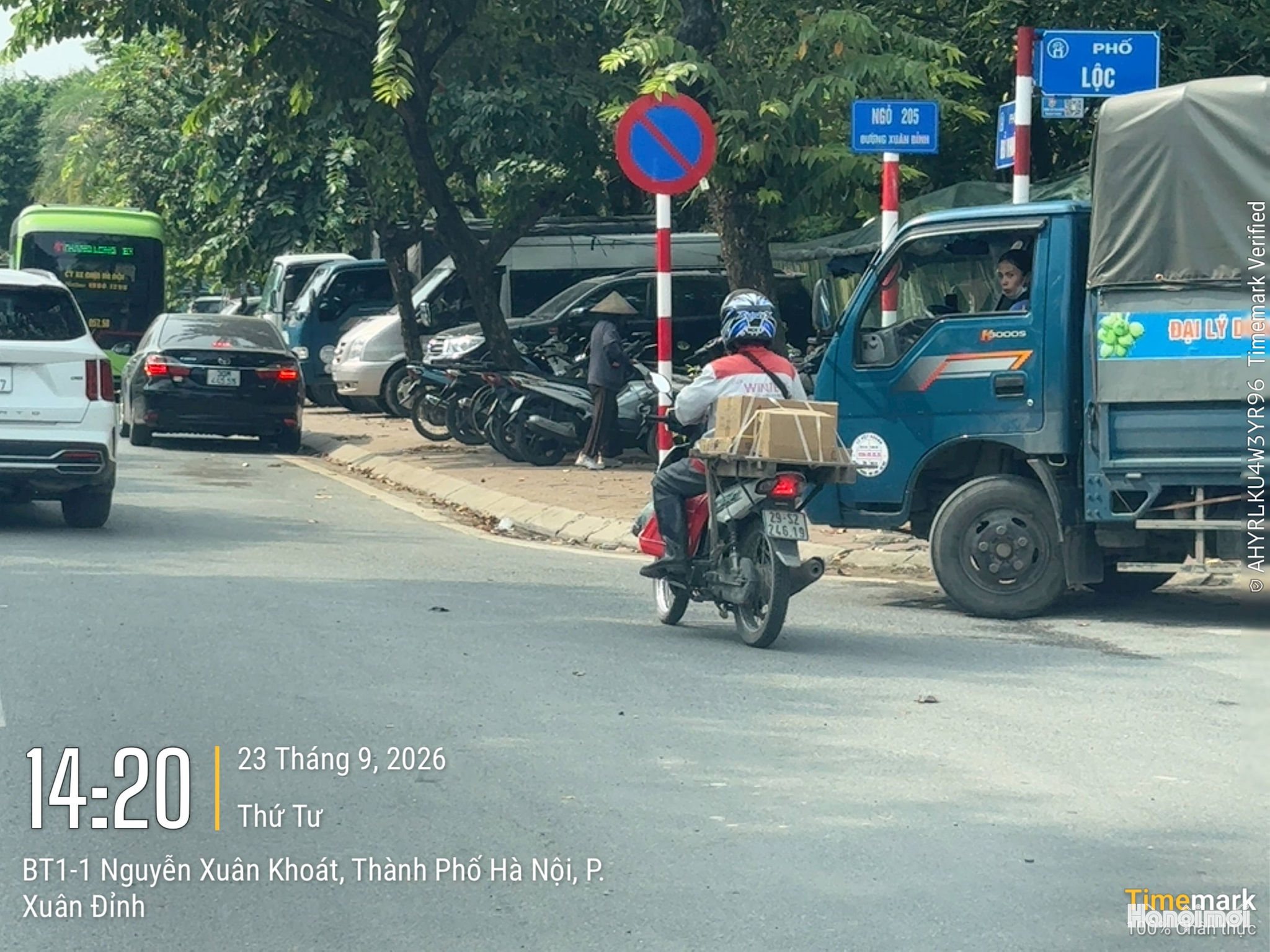 Phớt lờ biển