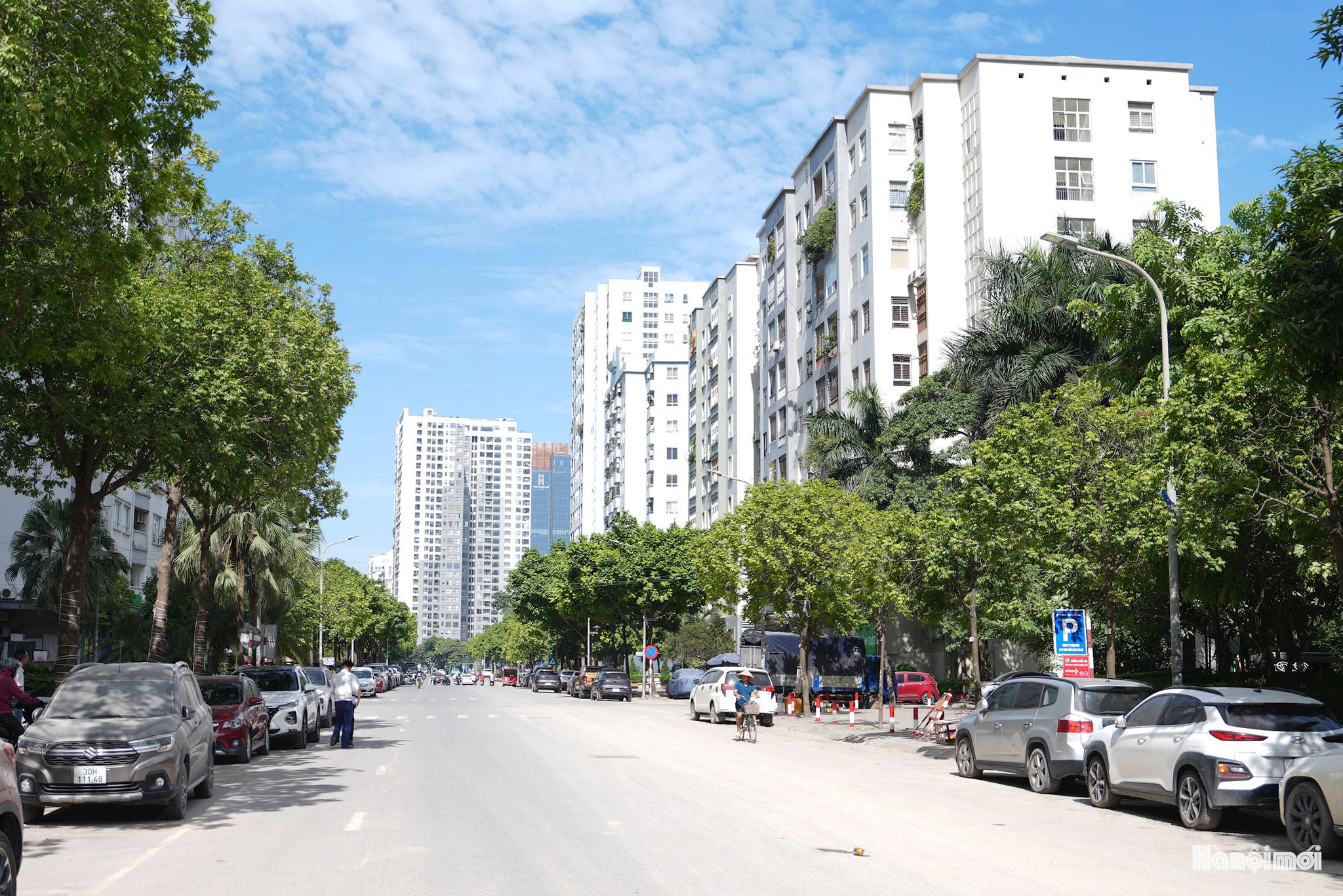 W_thanh-thai-1.jpg