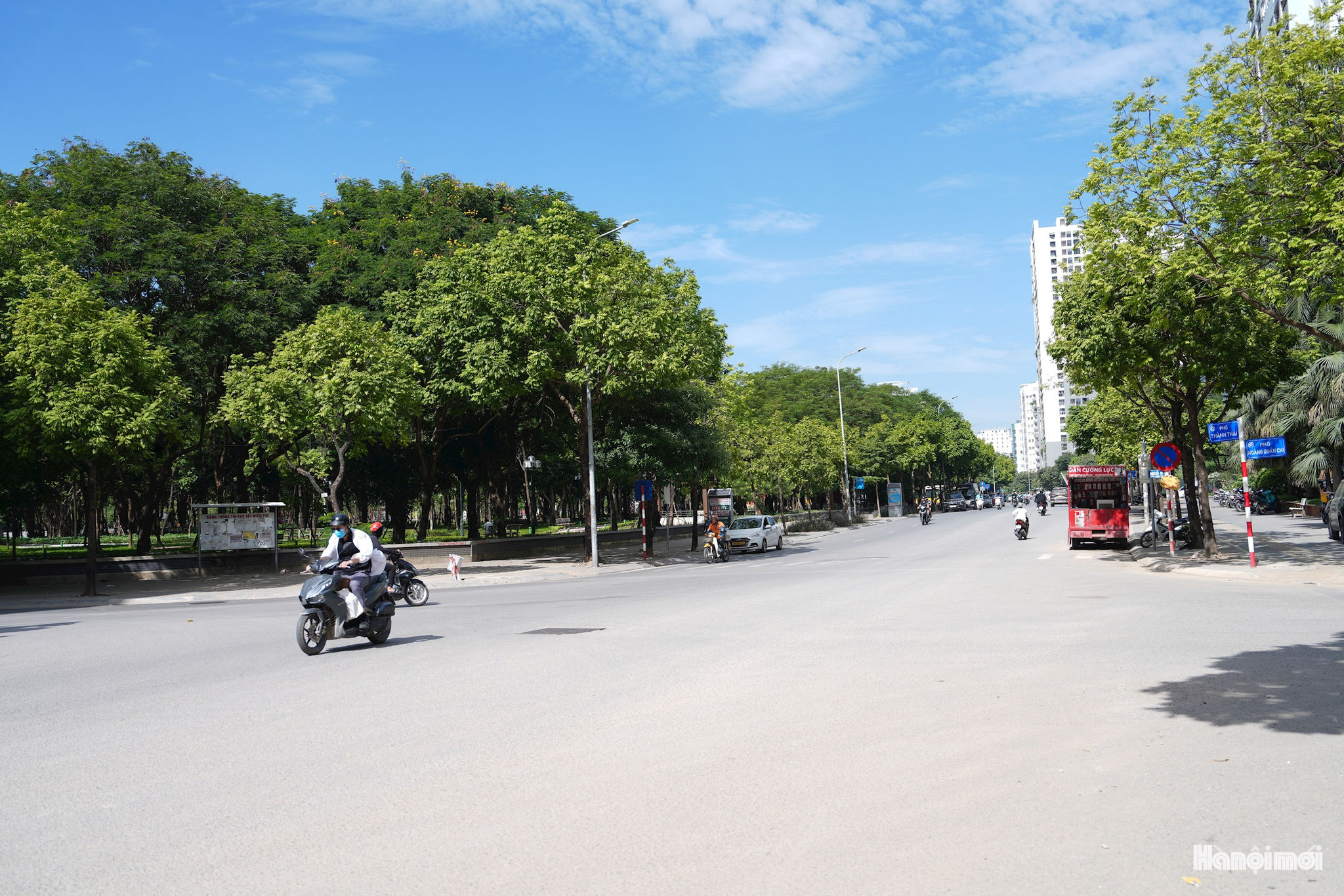 W_thanh-thai-3.jpg