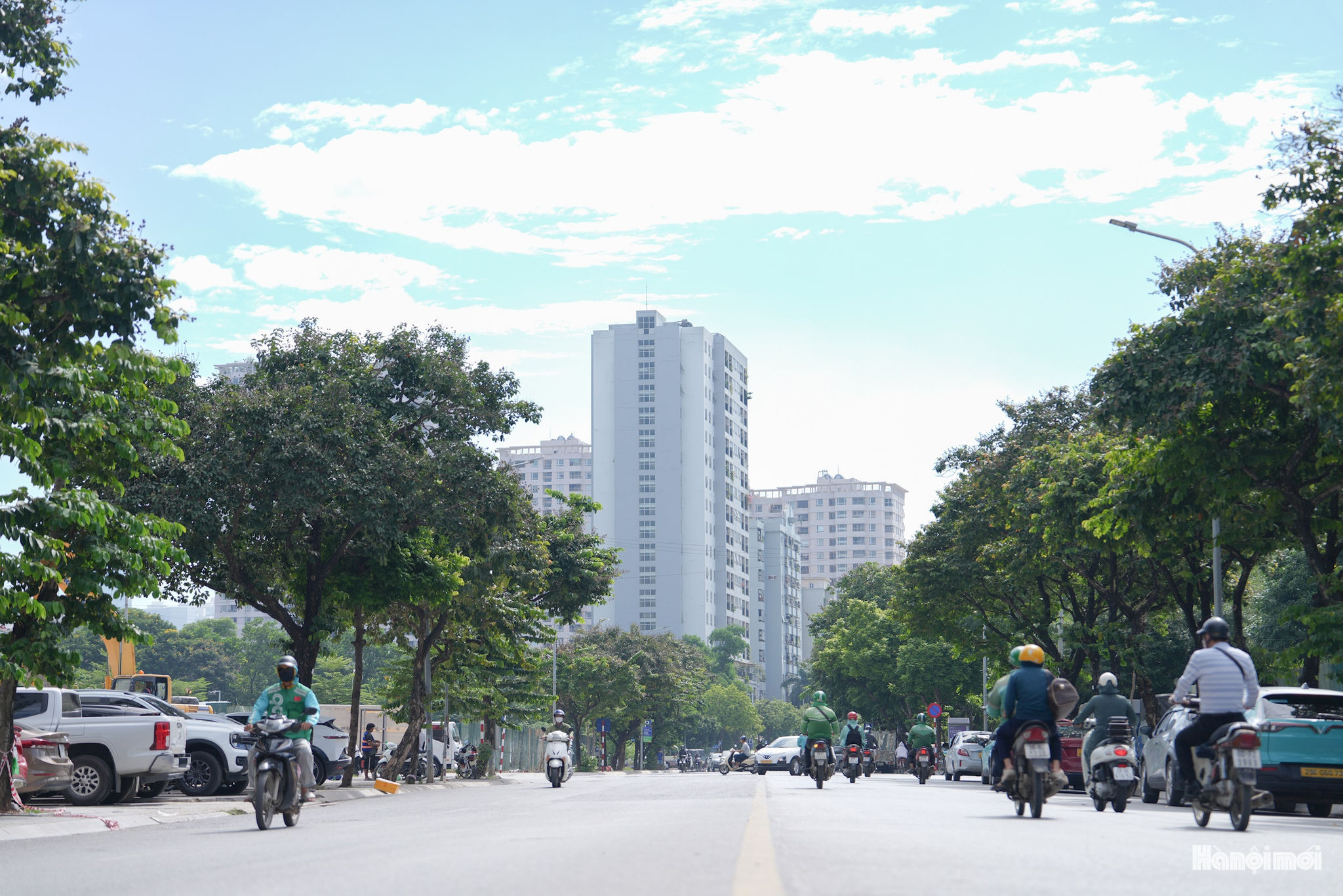 W_thanh-thai-7.jpg