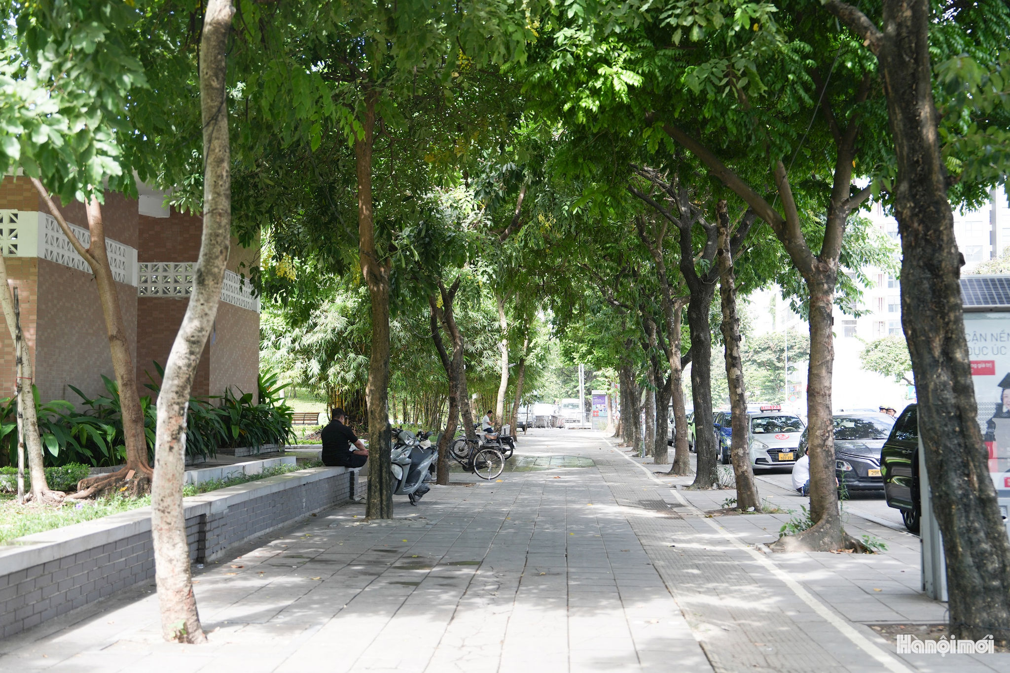 W_thanh-thai-8.jpg