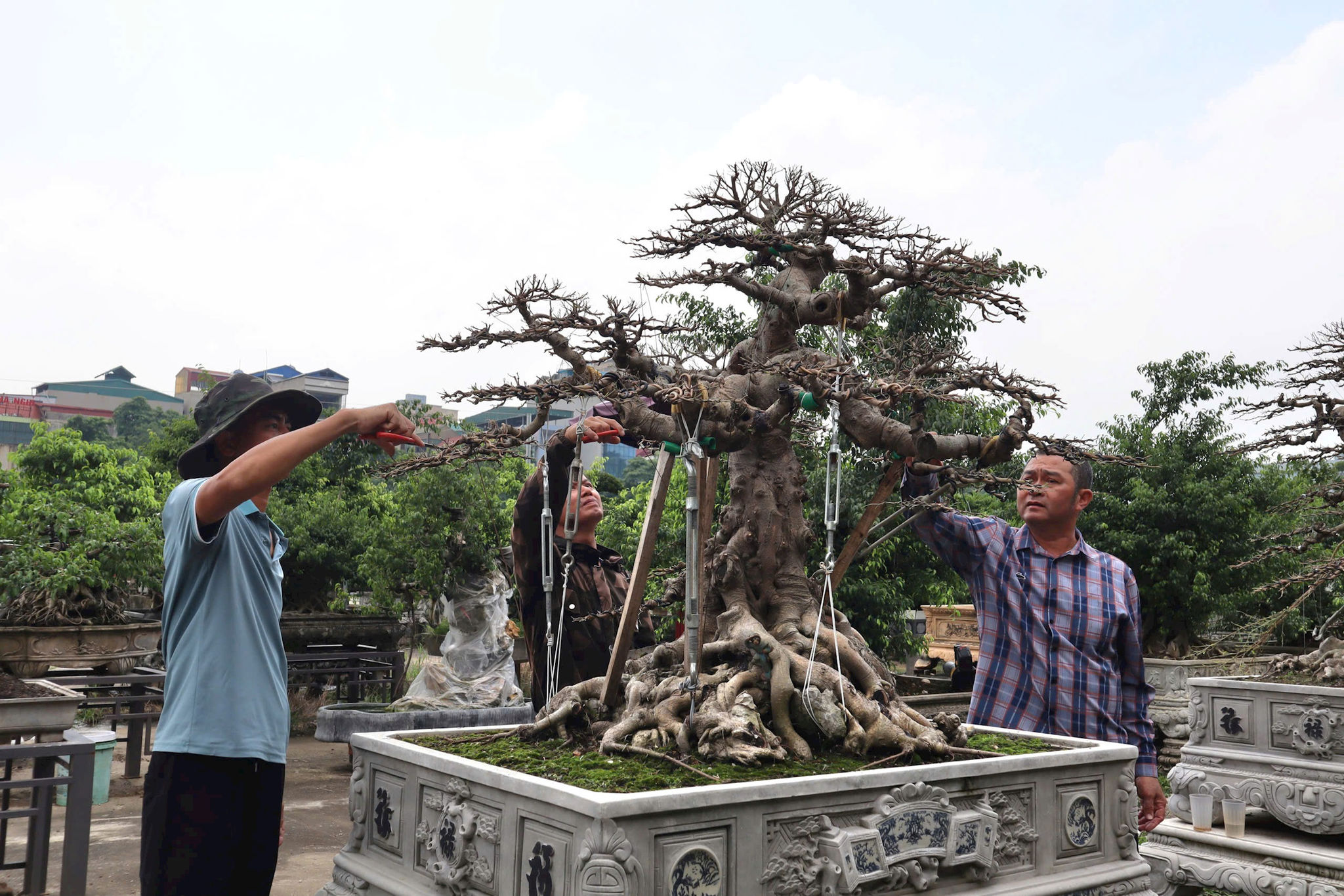 Mở hướng sinh kế khi đất sản xuất bị thu hẹp