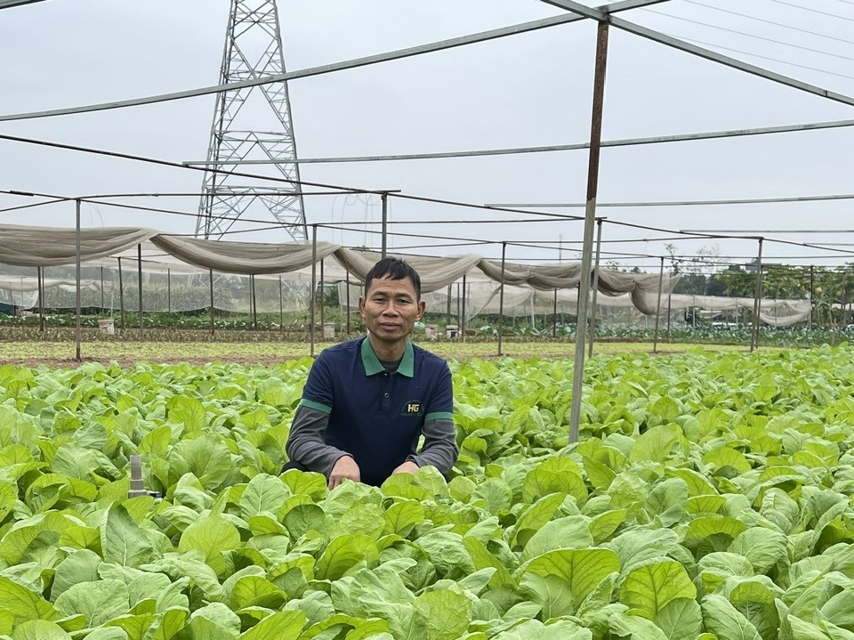 htx-nong-nghiep-xanh-hoang-gia2-1-.jpg