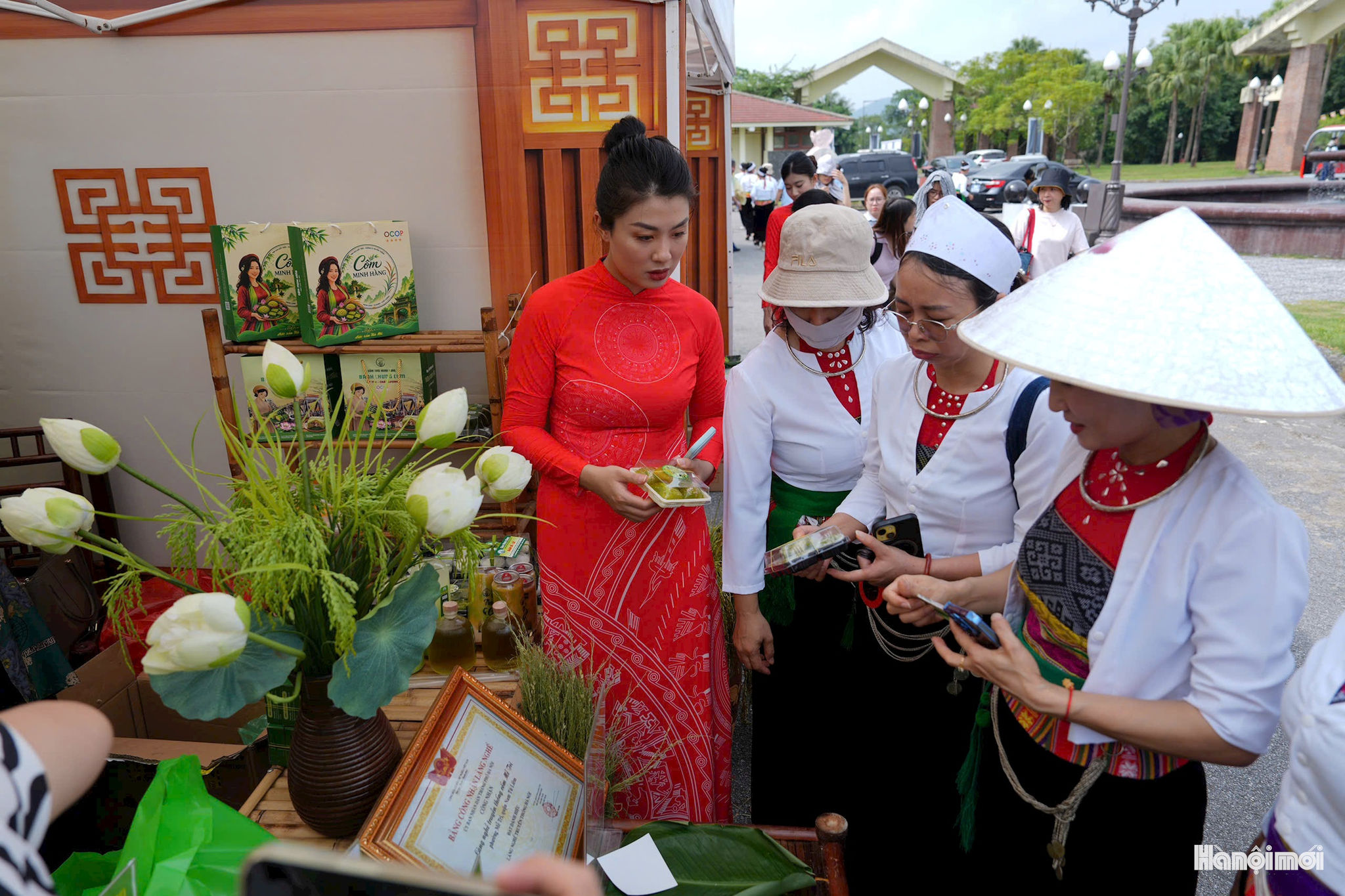 W_ngay-vh20.jpg
