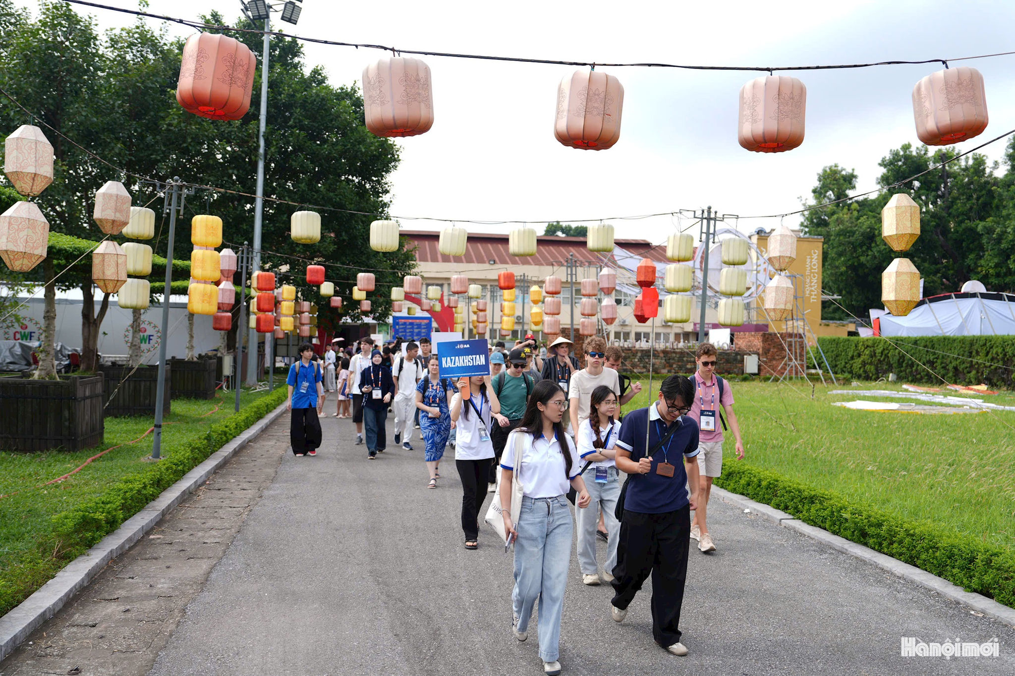 W_tlong-1.jpg
