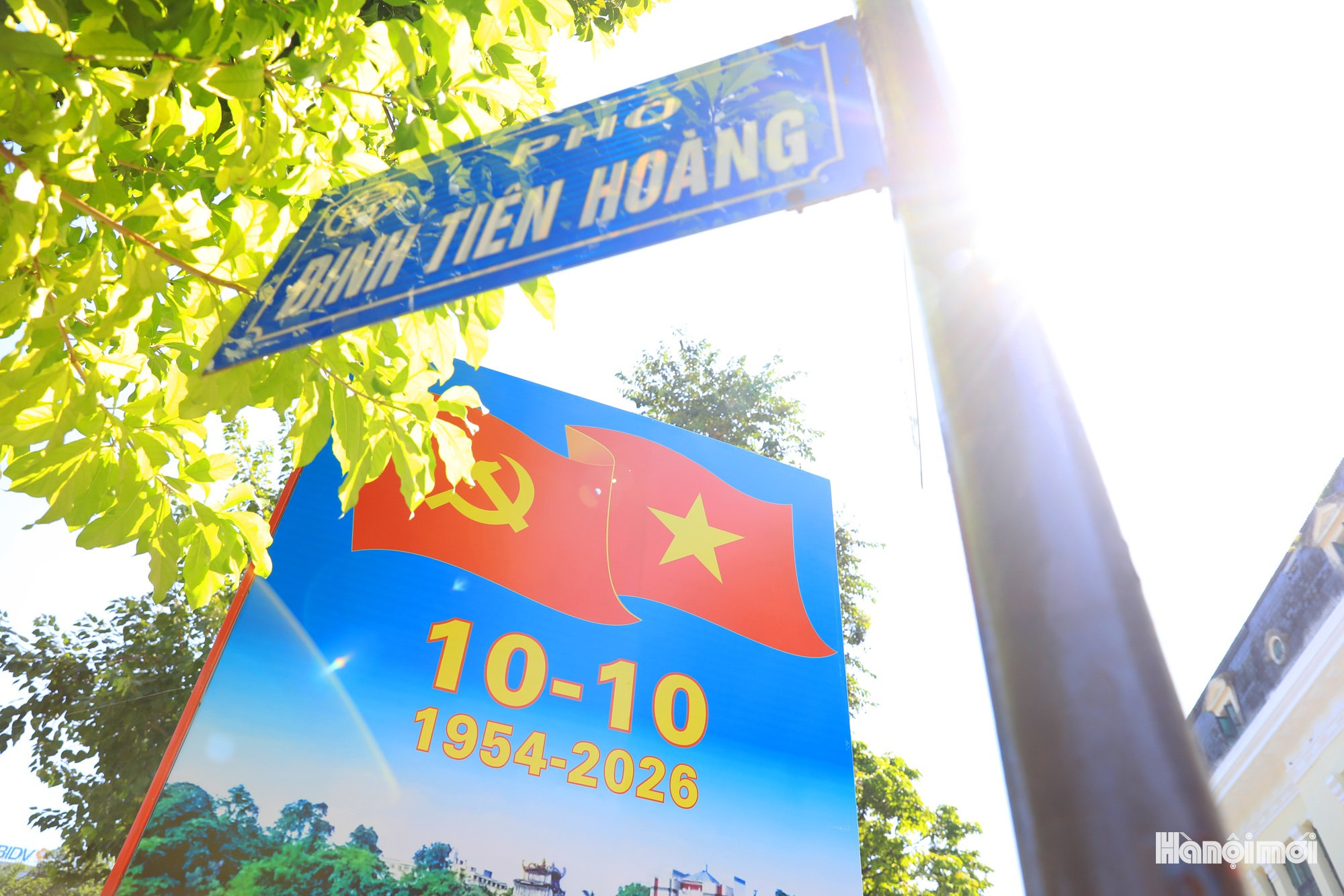 W_duong-pho-ruc-ro-co-hoa-2-.jpg