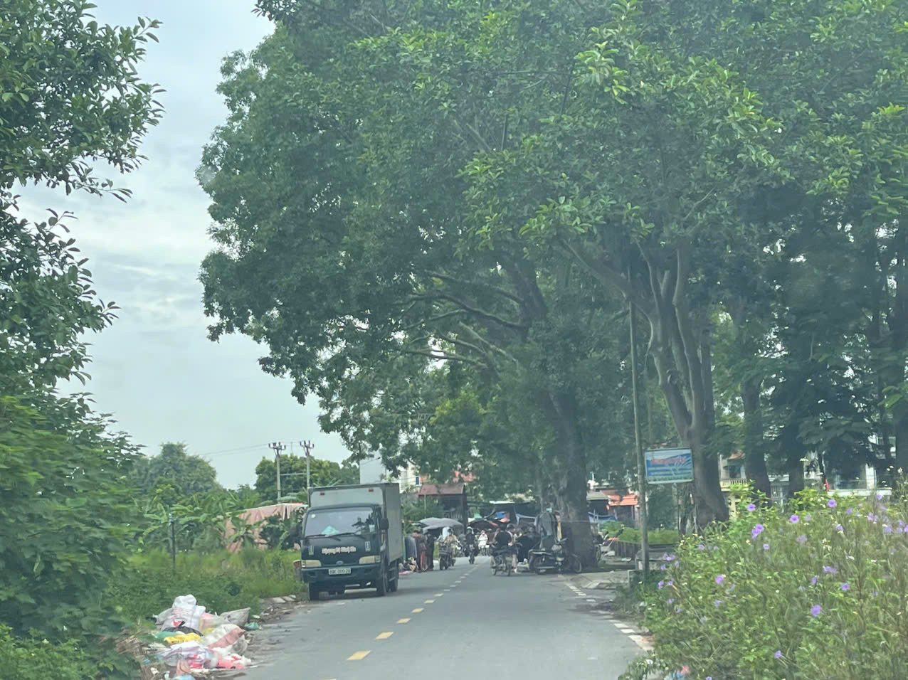 cho-lang-mui-3.jpg