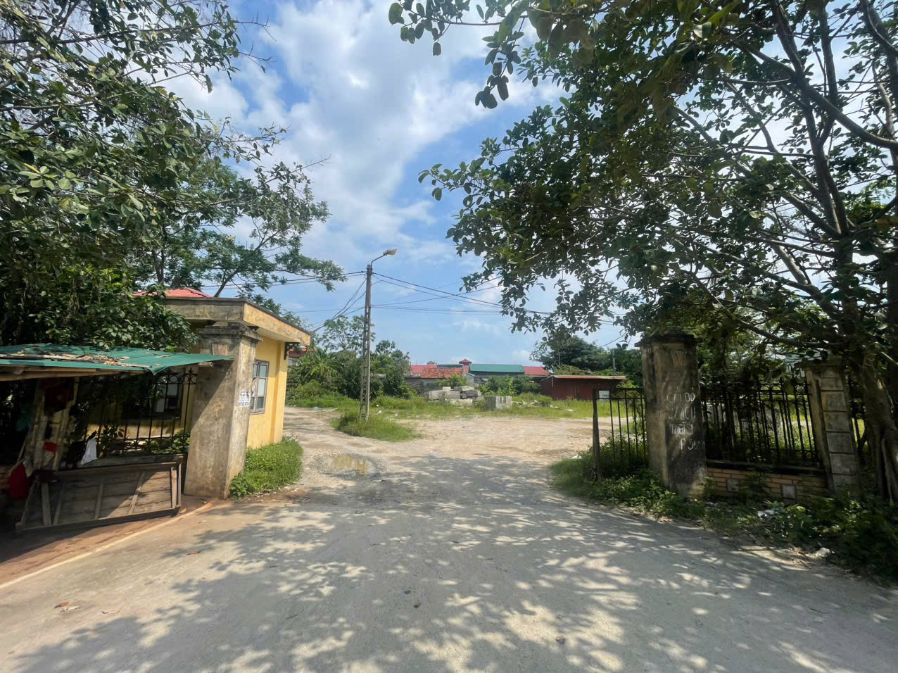 cho-tia-2.jpg