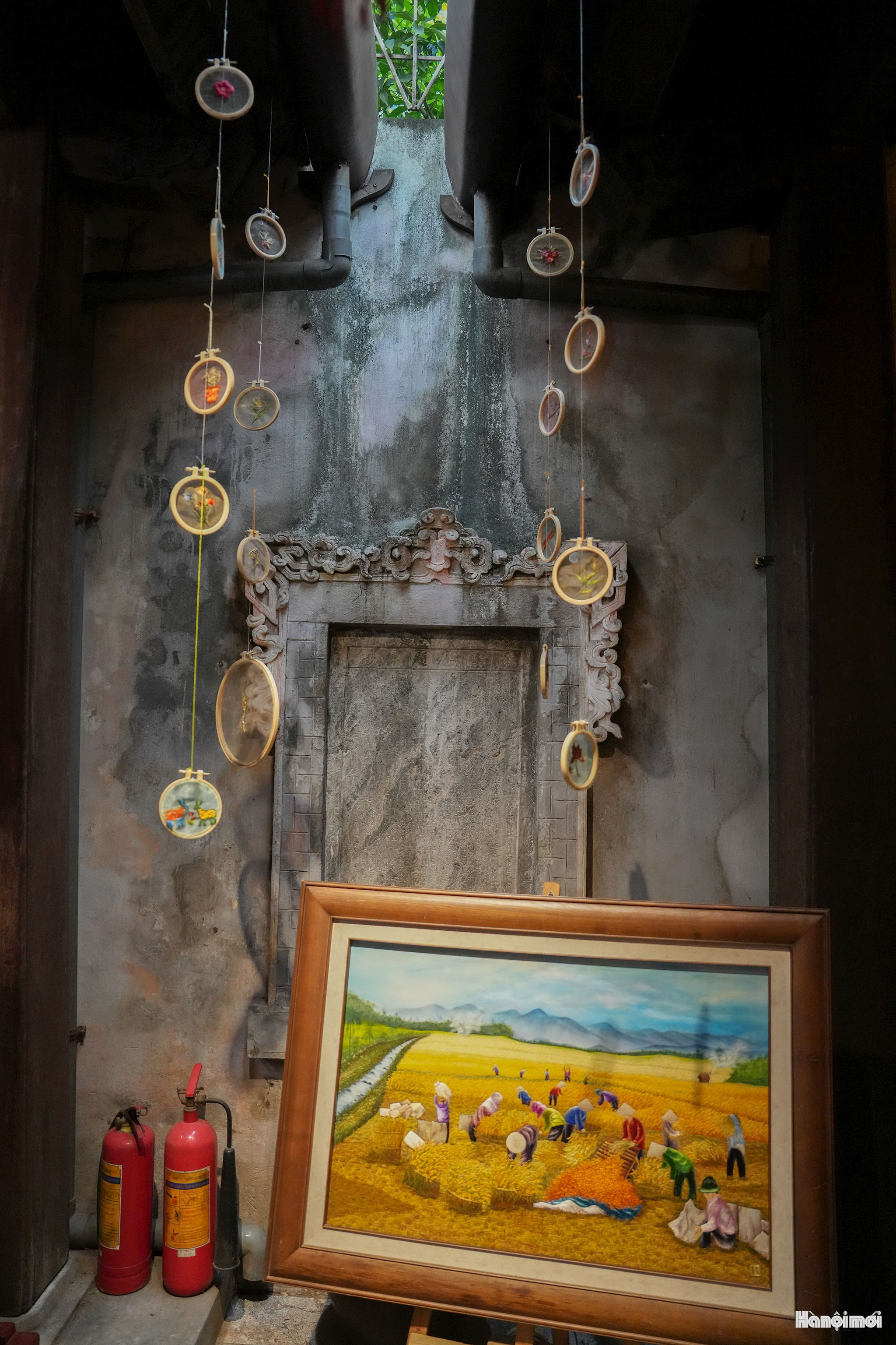 W_dinh-tu-thi-7.jpg