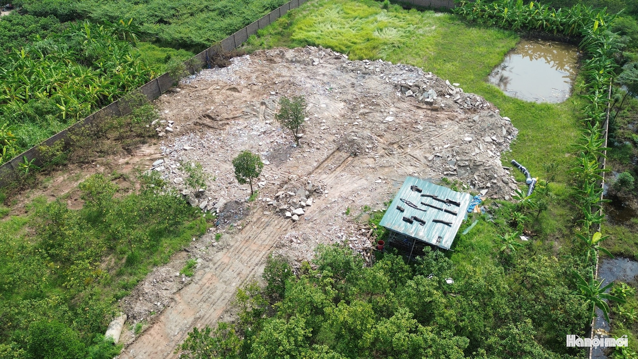 W_dji_0099.jpg