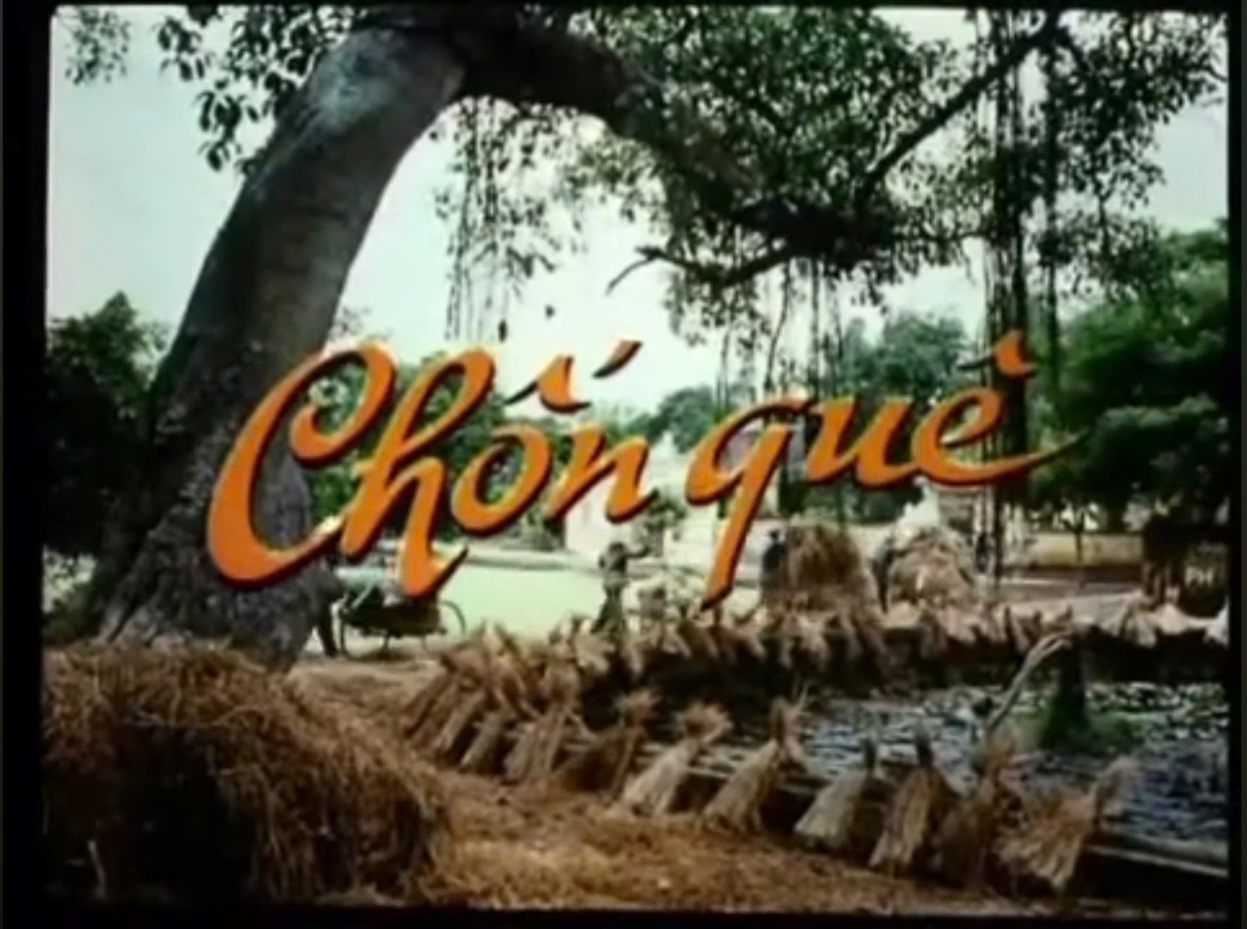 chon-que.jpg