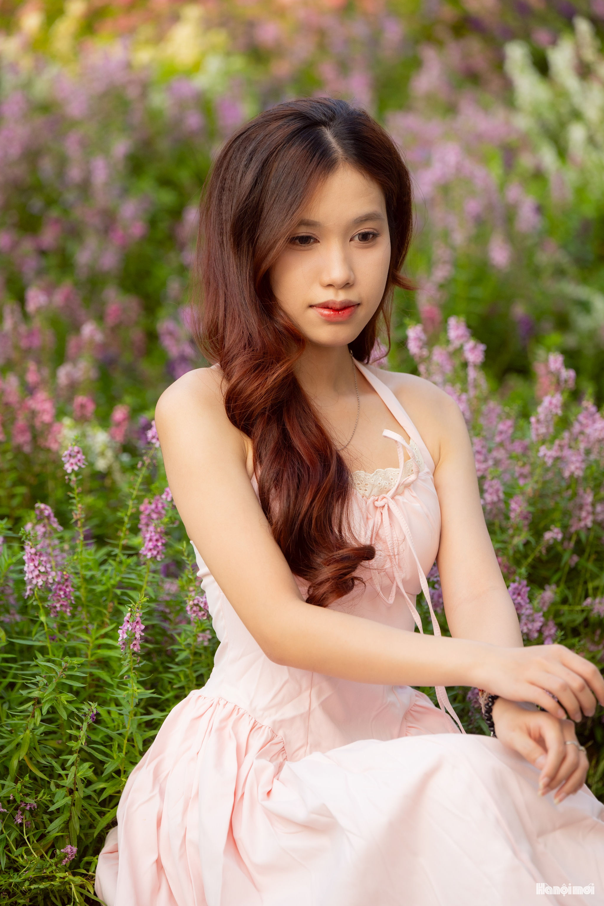 W_dsc_6599.jpg