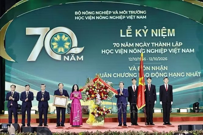 ctqh-hvnn-9466.jpg