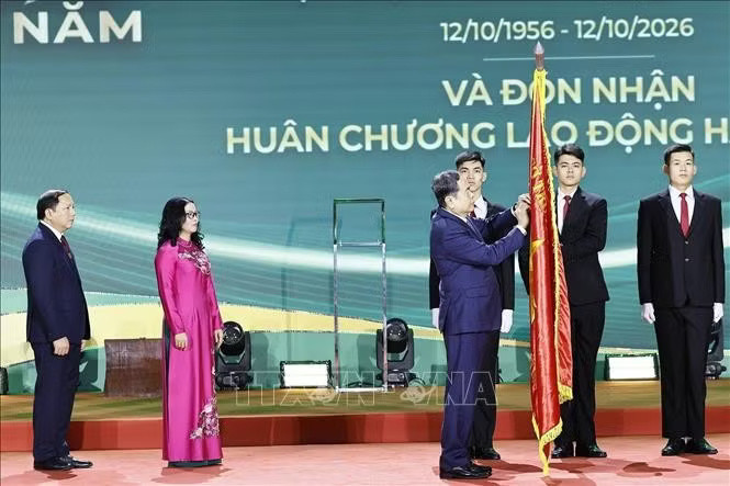ctqh-hvnn.jpg