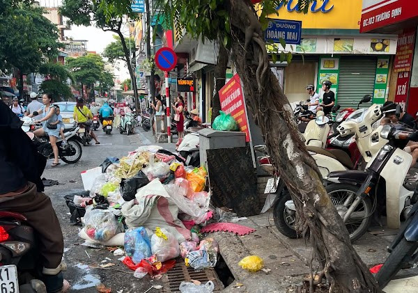 hoang-mai1.jpg