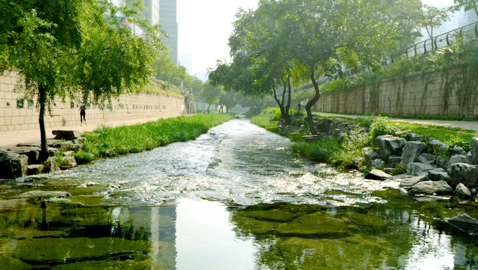 khong-gian-xanh-doc-cheonggyecheon-giua-khu-trung-tam-seoul-han-quoc-.-anh-shai-lopezunsplash.jpg