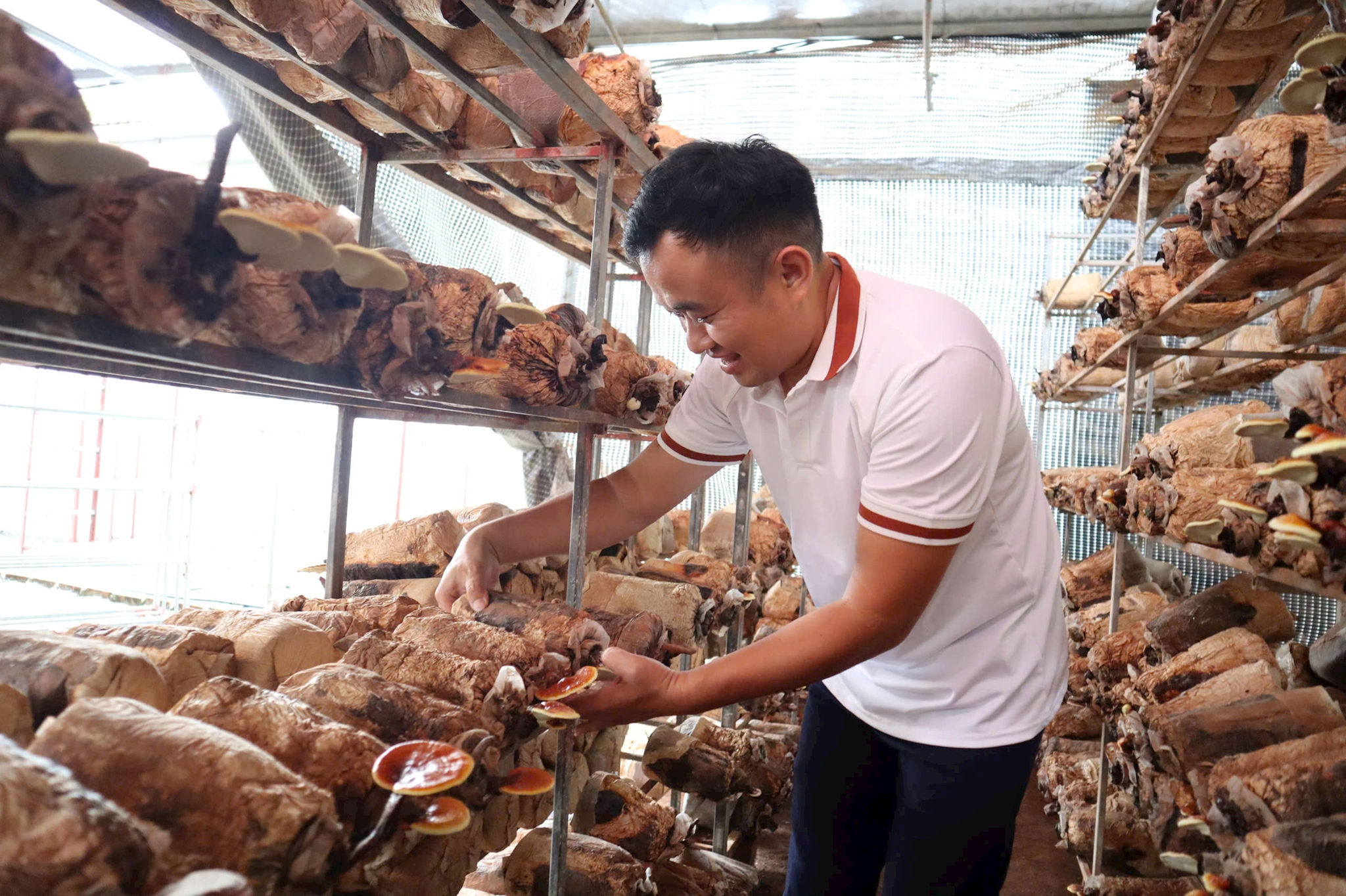 thien-loc-2.jpg