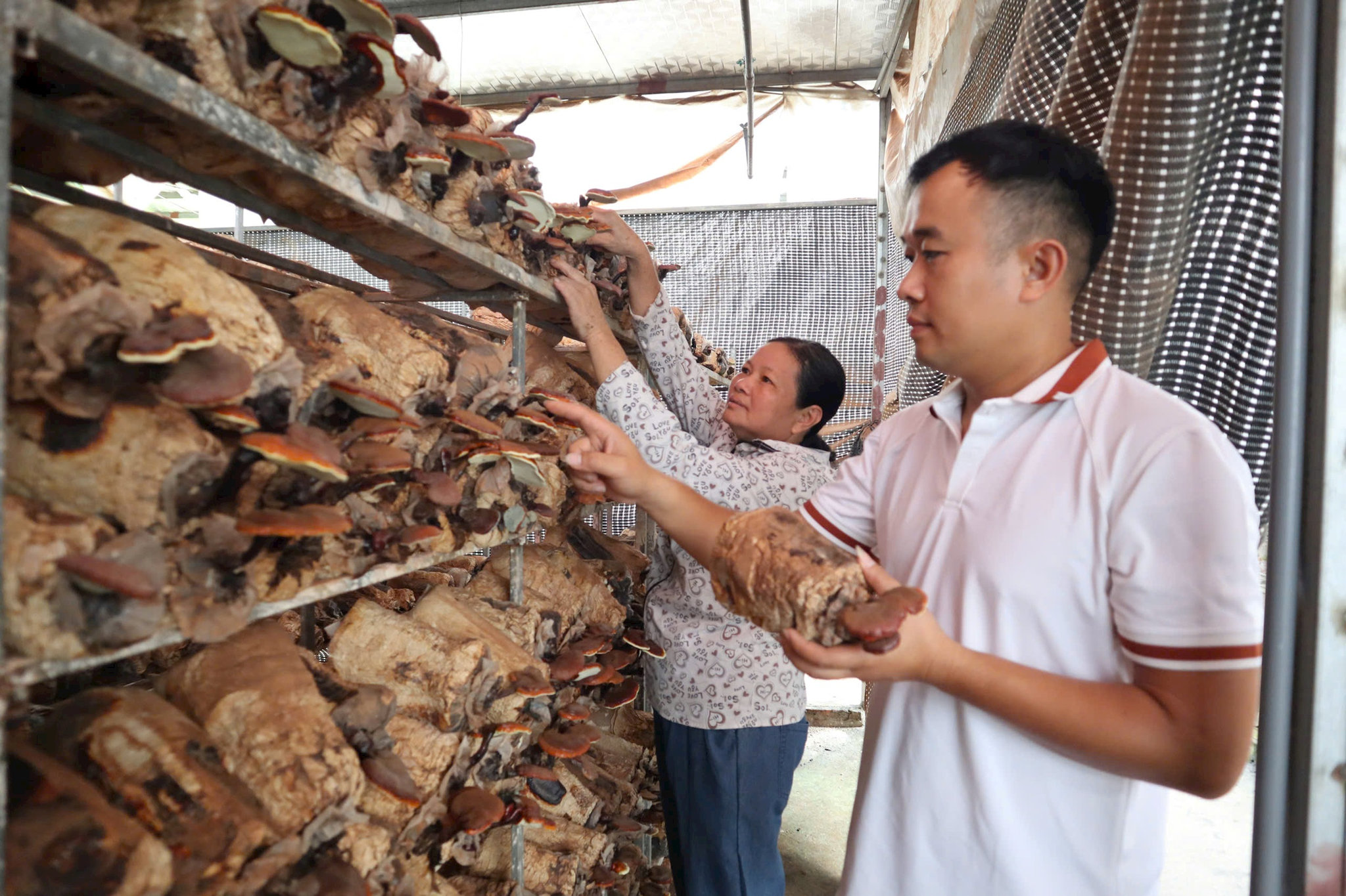 thien-loc-3.jpg