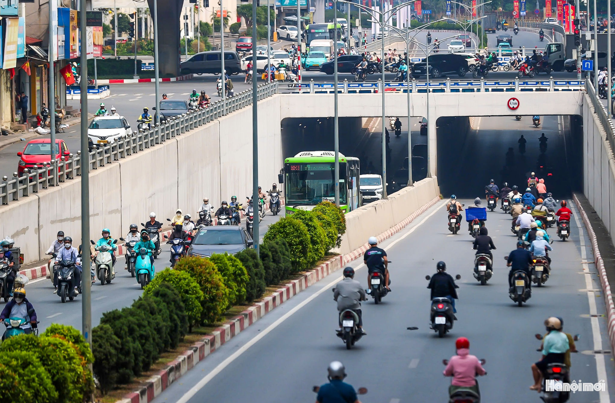 W_phuxanh-3.jpg