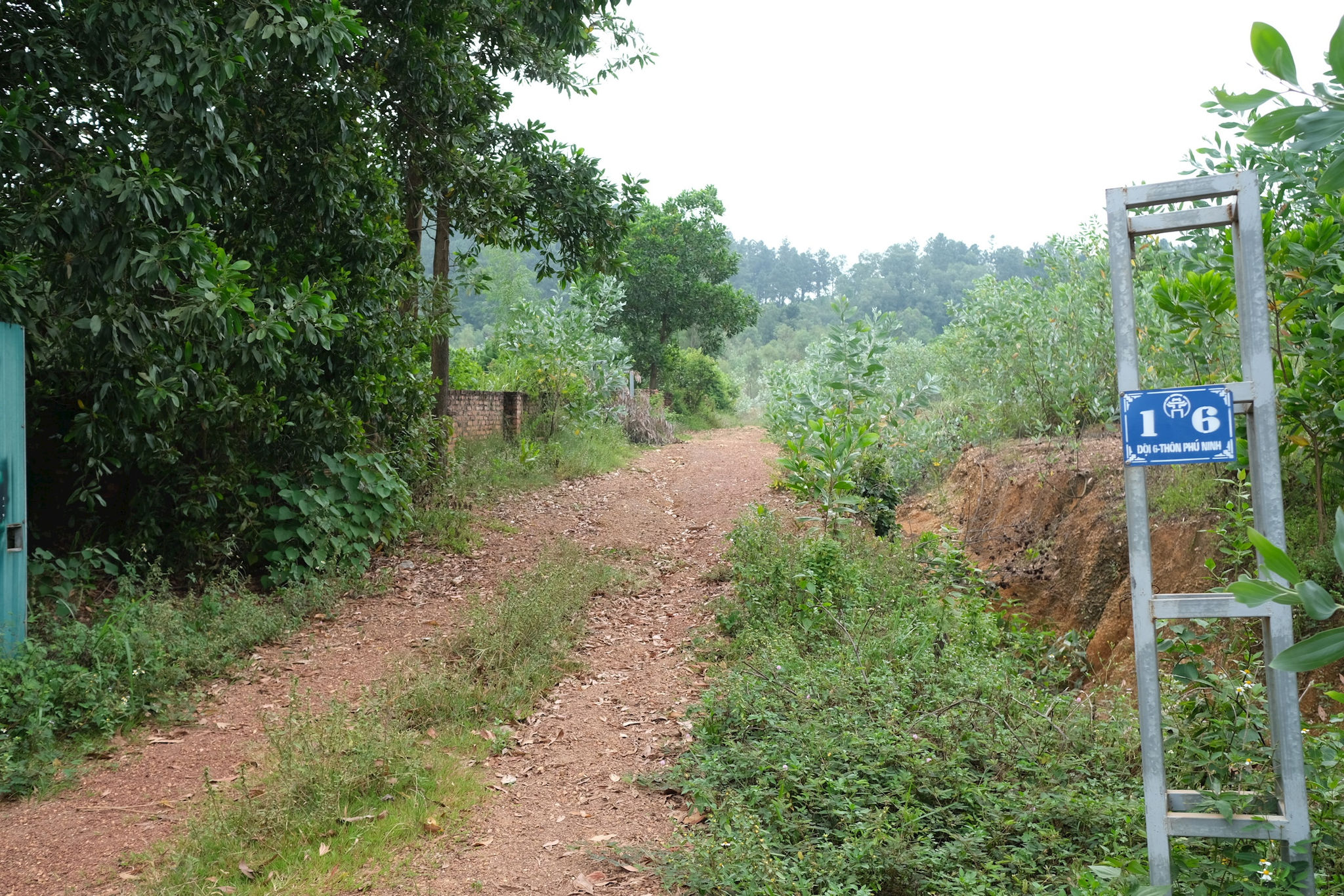 dscf4856.jpg