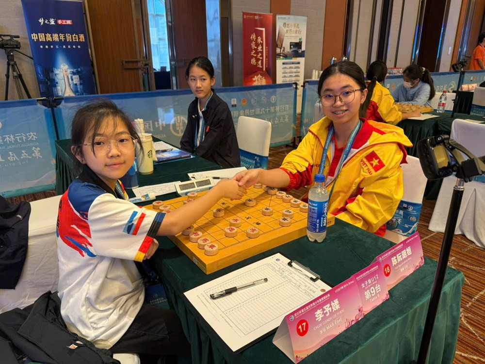 12-co-tuong-vn2.jpg