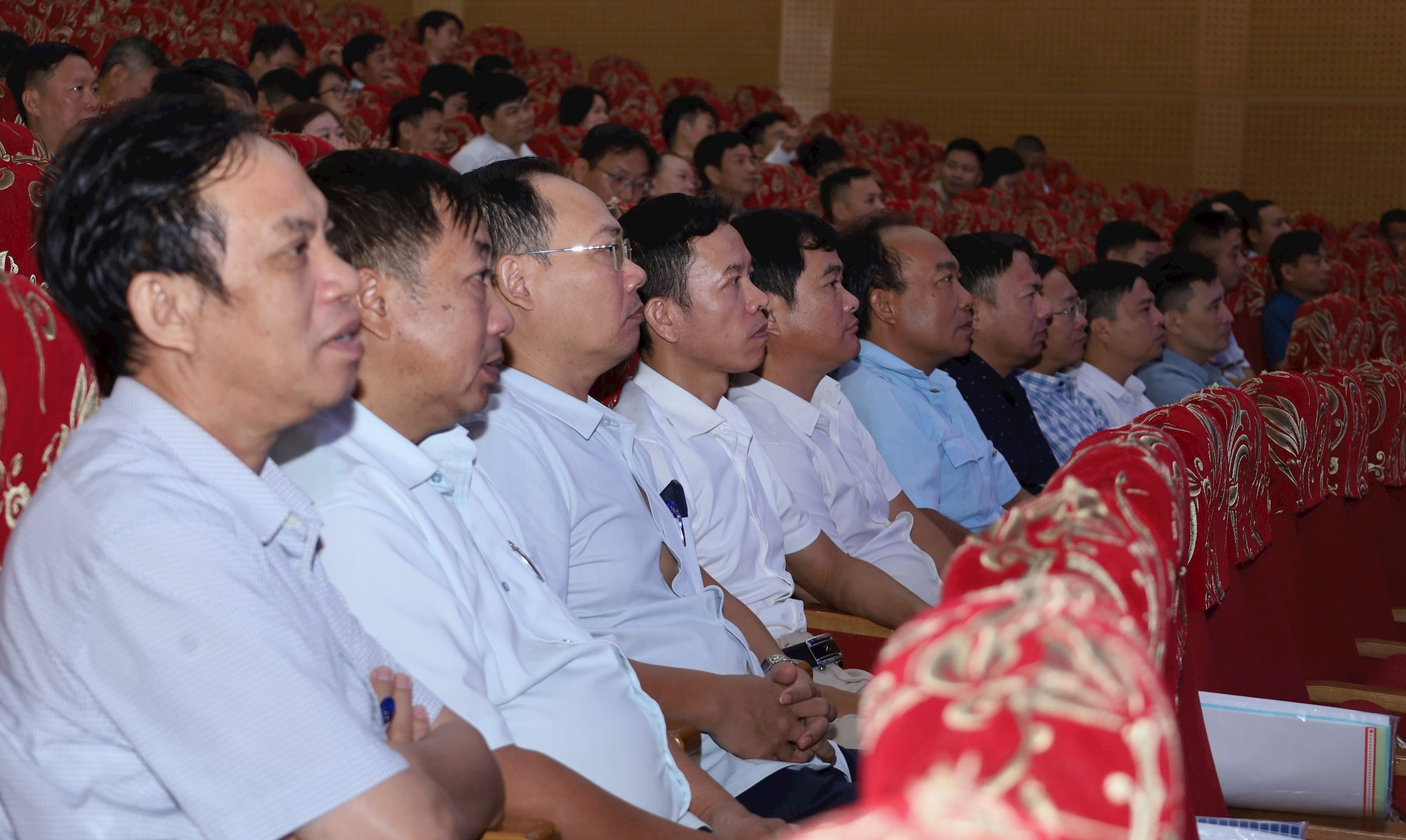 dai-bieu.jpg