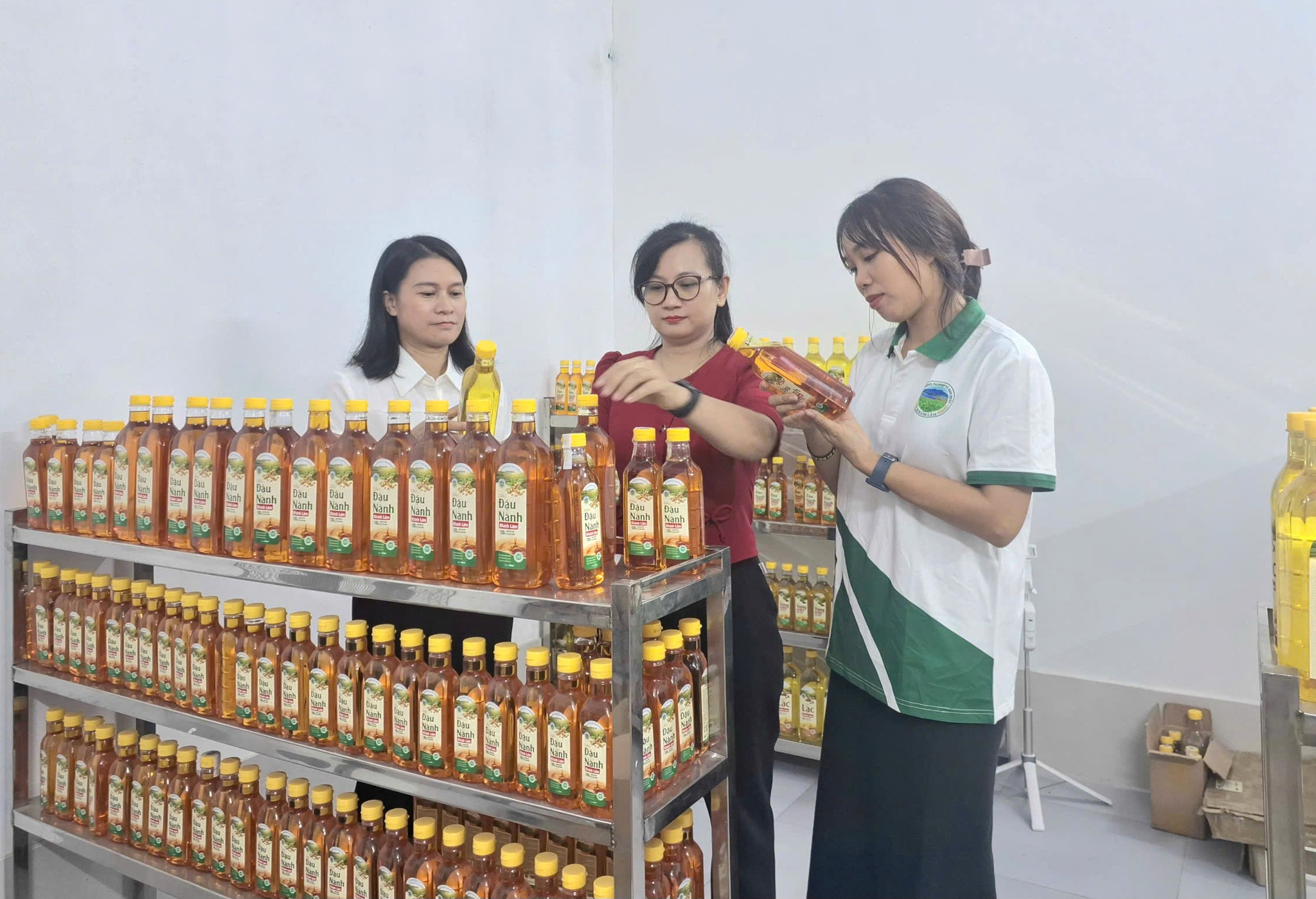 vat-lai-1.jpg