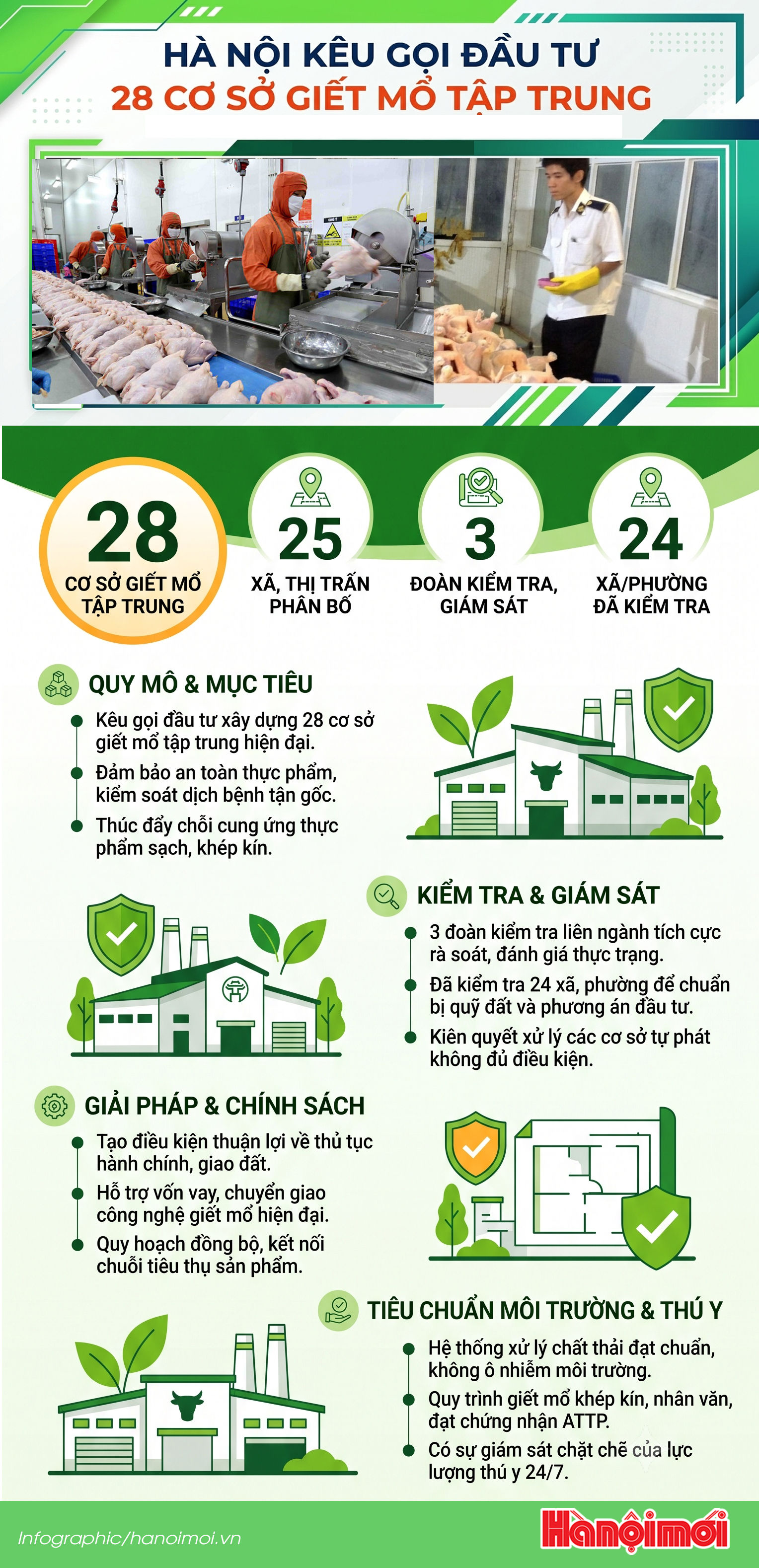 giet-mo-tt-hn.jpg