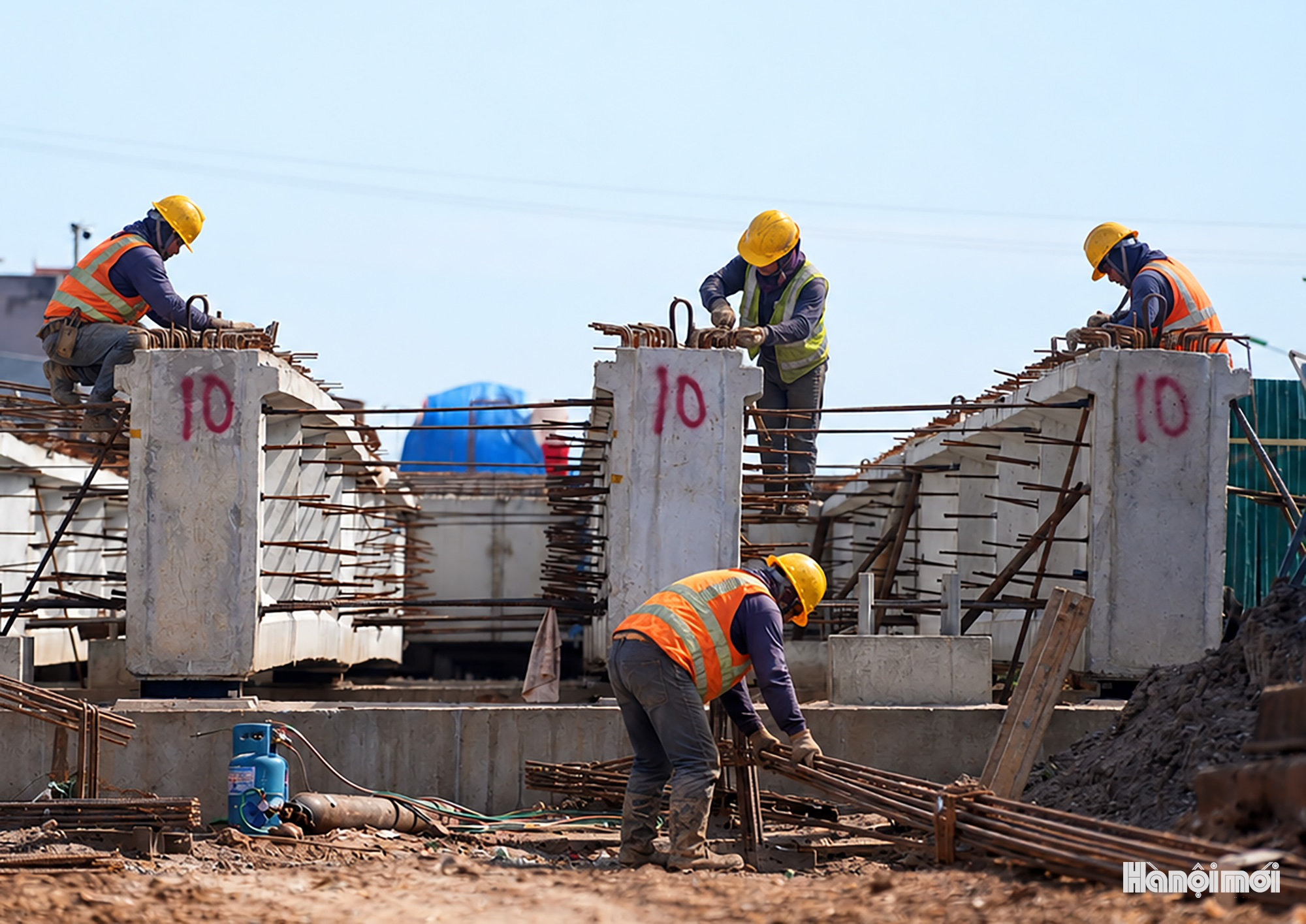 W_cau-mai-linh-10.jpg
