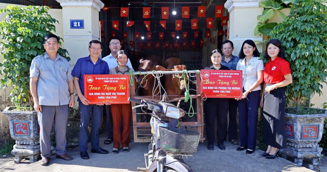 Xã Đoài Phương trao tặng bò cho hộ khó khăn. Ảnh: PV
