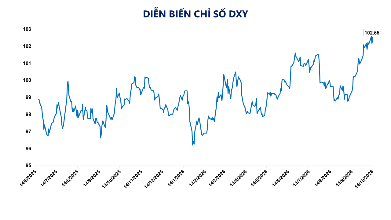 Diễn biến chỉ số DMY. Nguồn: M