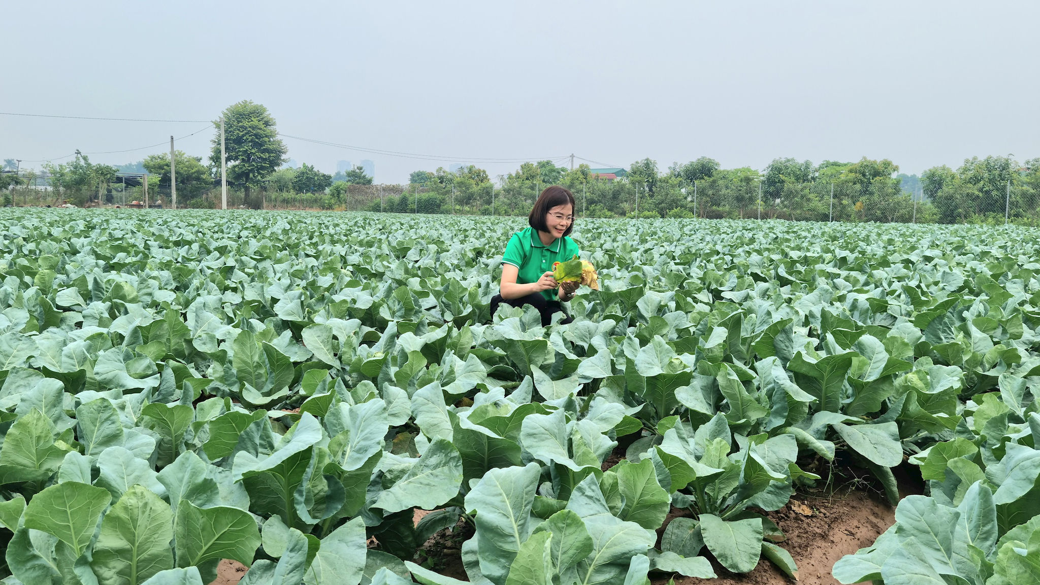 bat-trang-rau1.jpg
