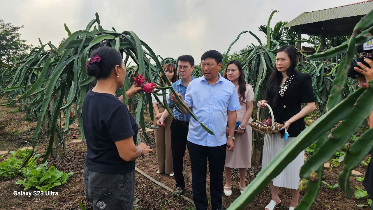thanhlong2.jpg
