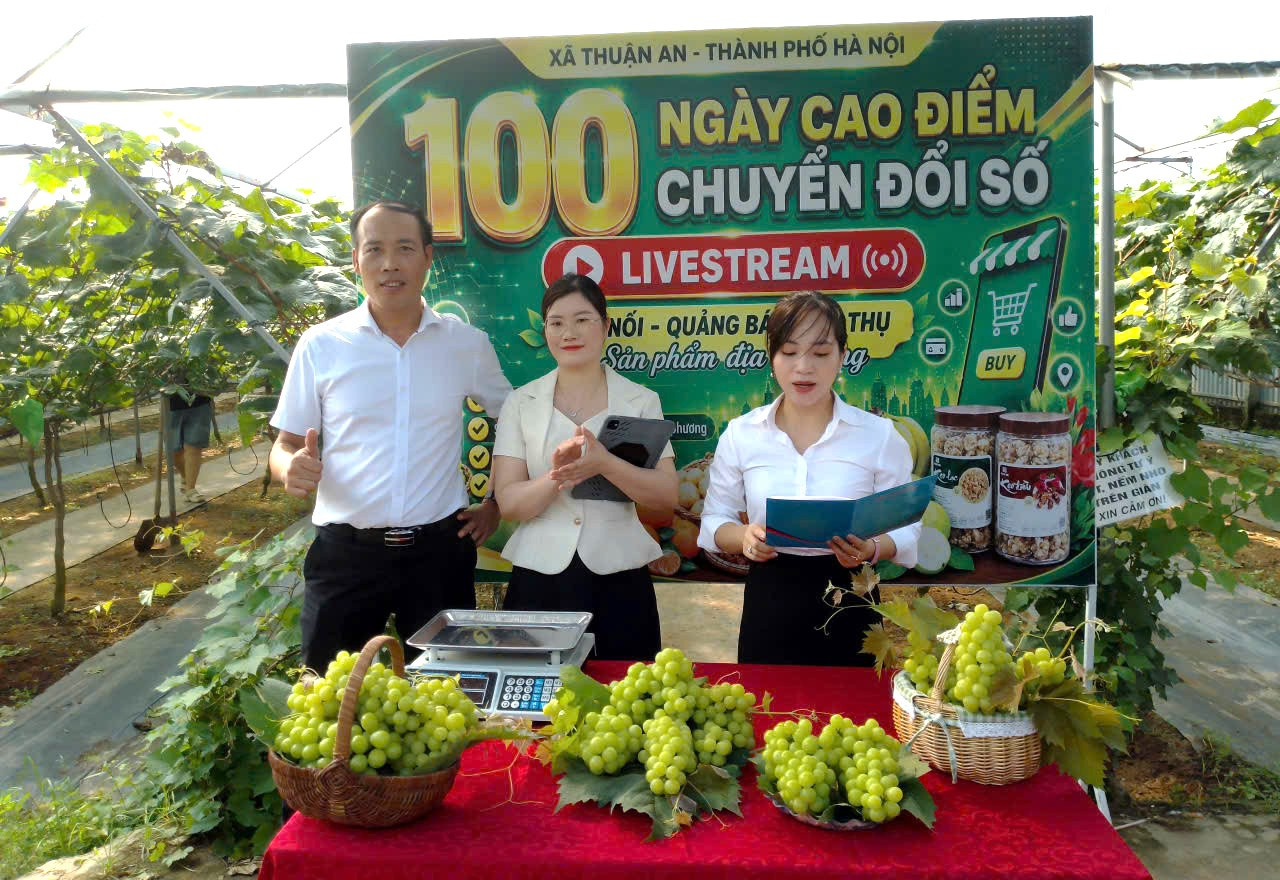 Bùng nổ livestream bán hàng, người tiêu dùng cần được bảo vệ bằng thông tin minh bạch