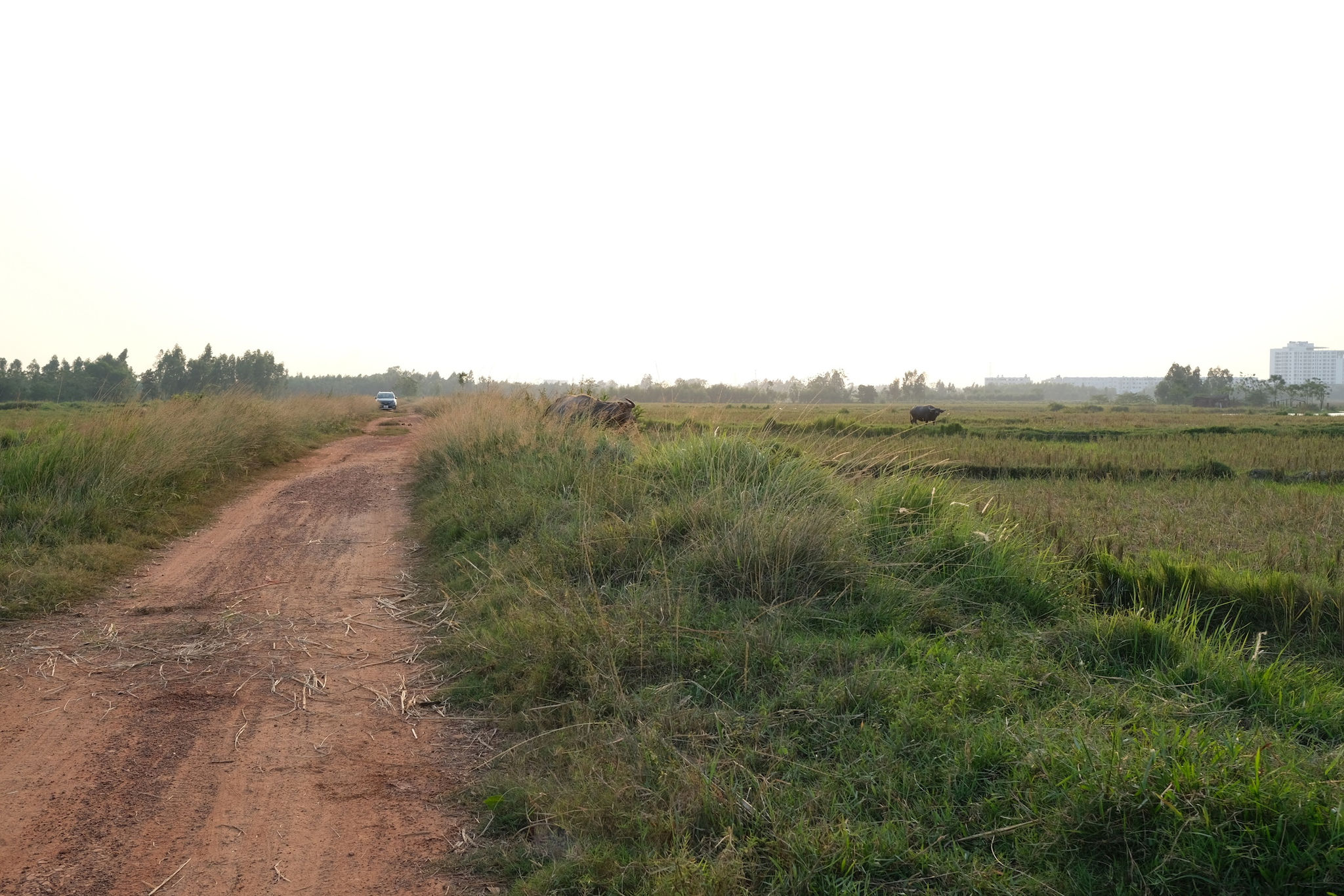 dscf5095.jpg