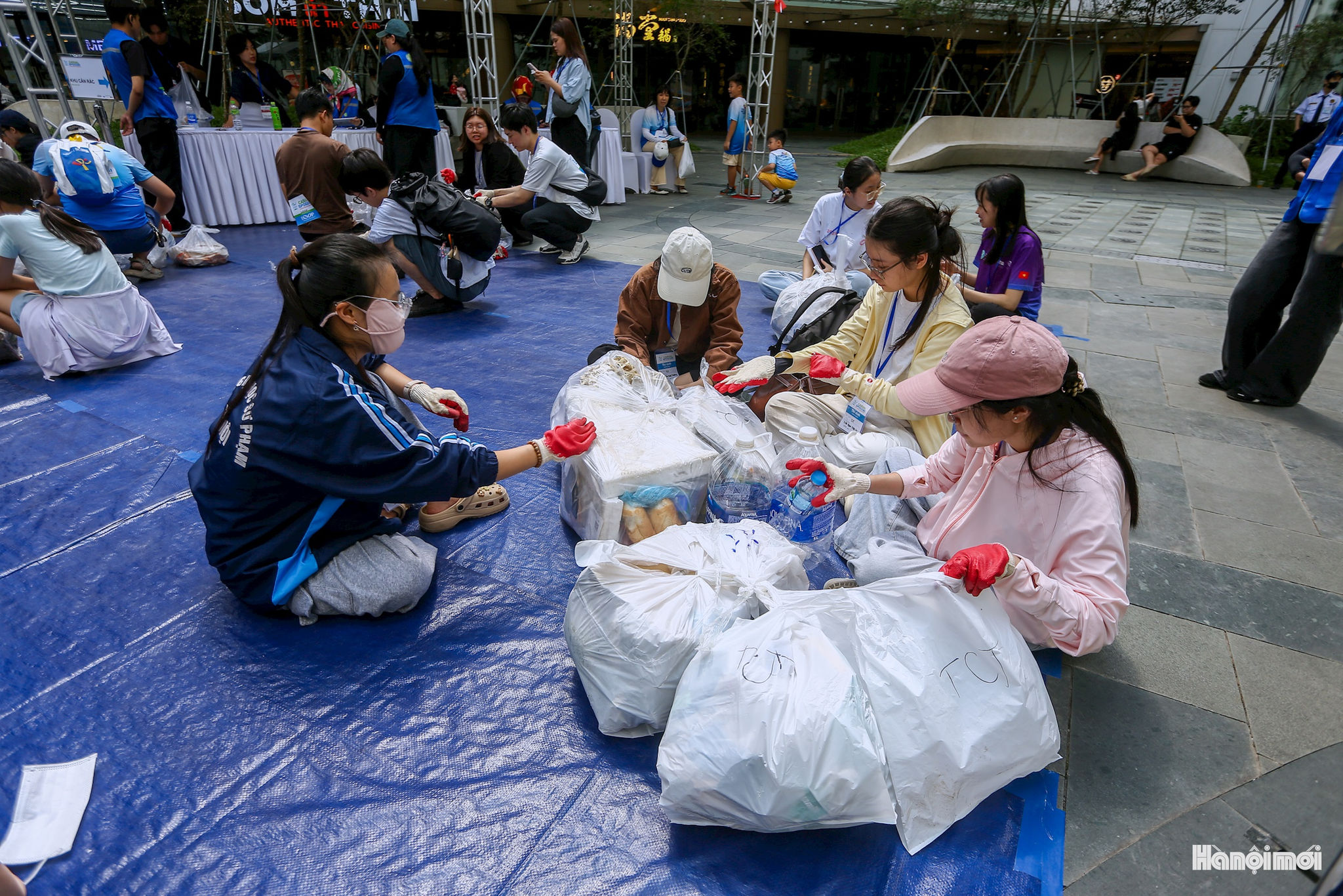 W_bf7a8437.jpg